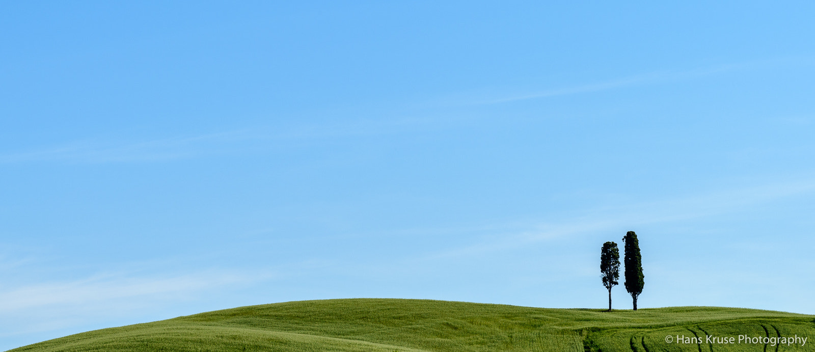 Nikon AF-S Nikkor 70-200mm F4G ED VR sample photo. Lonely trees photography