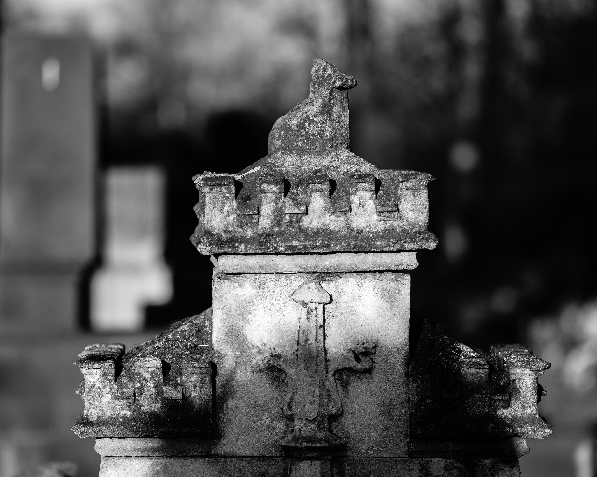 Fujifilm X-T2 + Fujifilm XF 90mm F2 R LM WR sample photo. Rakowicki cemetery photography