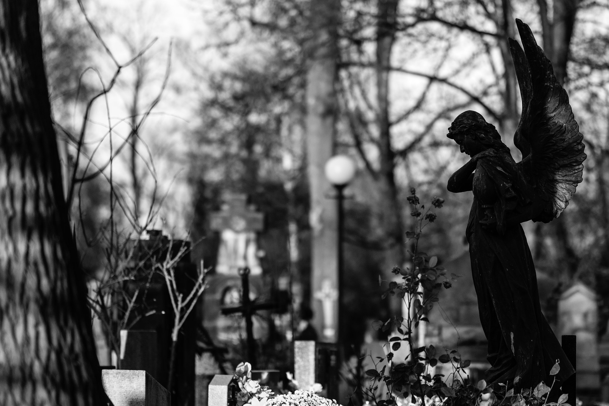 Fujifilm X-T2 + Fujifilm XF 90mm F2 R LM WR sample photo. Rakowicki cemetery photography