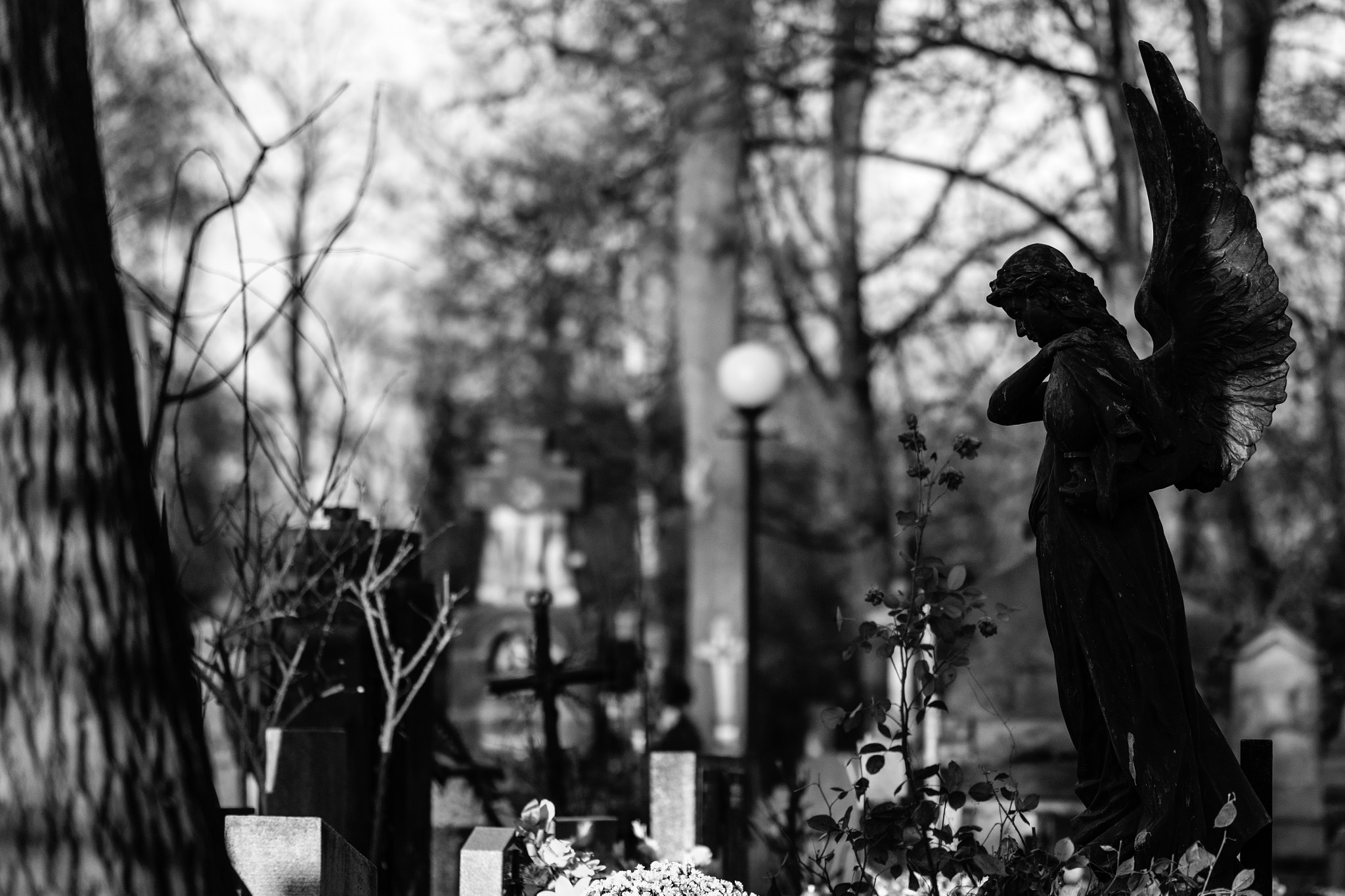 Fujifilm X-T2 sample photo. Rakowicki cemetery photography