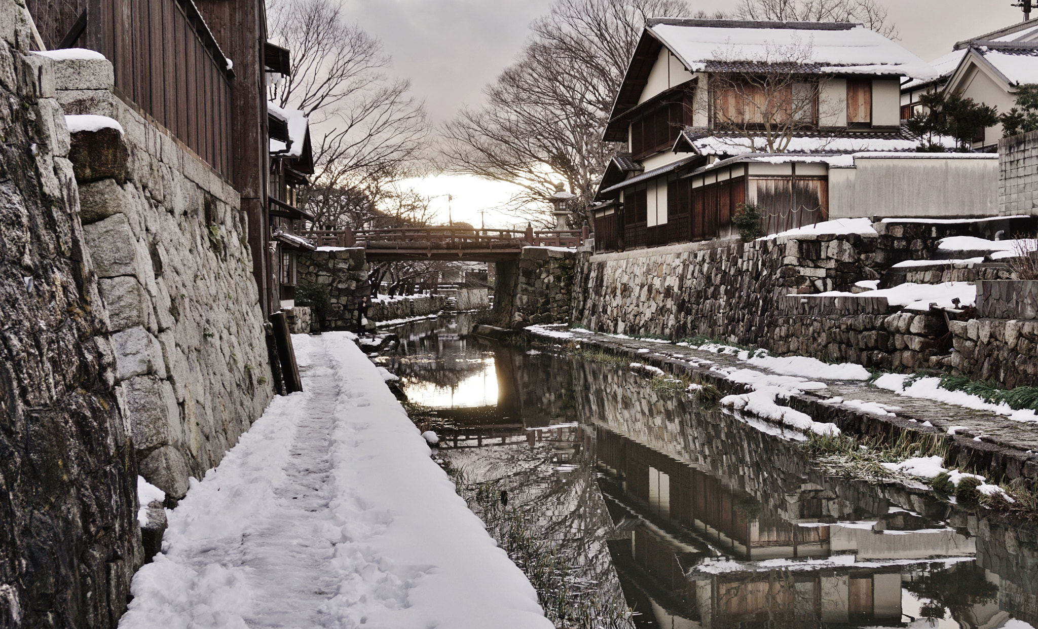 Sony E 16-50mm F3.5-5.6 PZ OSS sample photo. Dsc photography