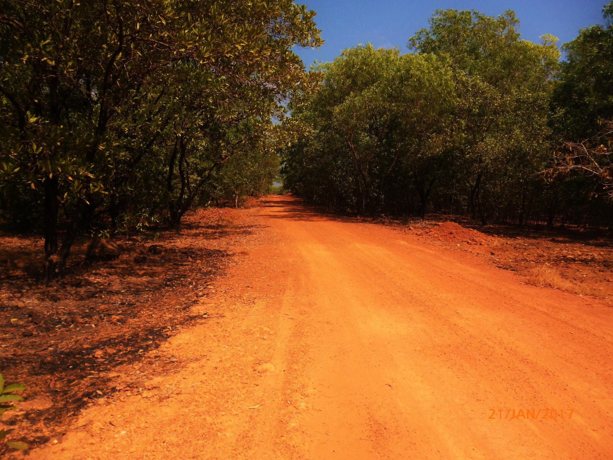 Panasonic DMC-S2 sample photo. Rural road photography