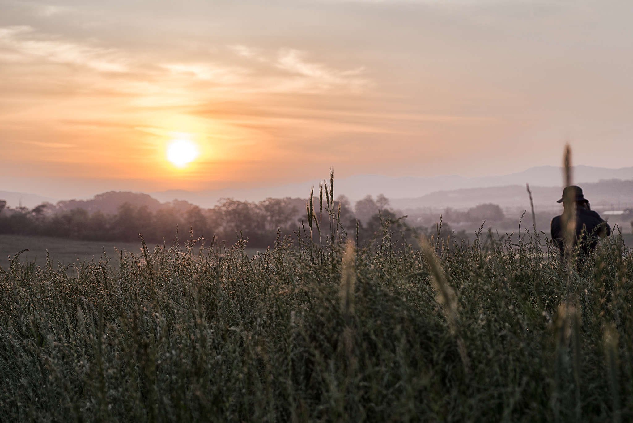 Sony a7R sample photo. 일출 photography