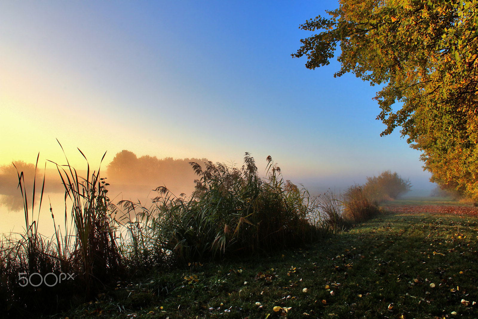 Canon EF-S 18-200mm F3.5-5.6 IS sample photo. Colorful sunrise photography