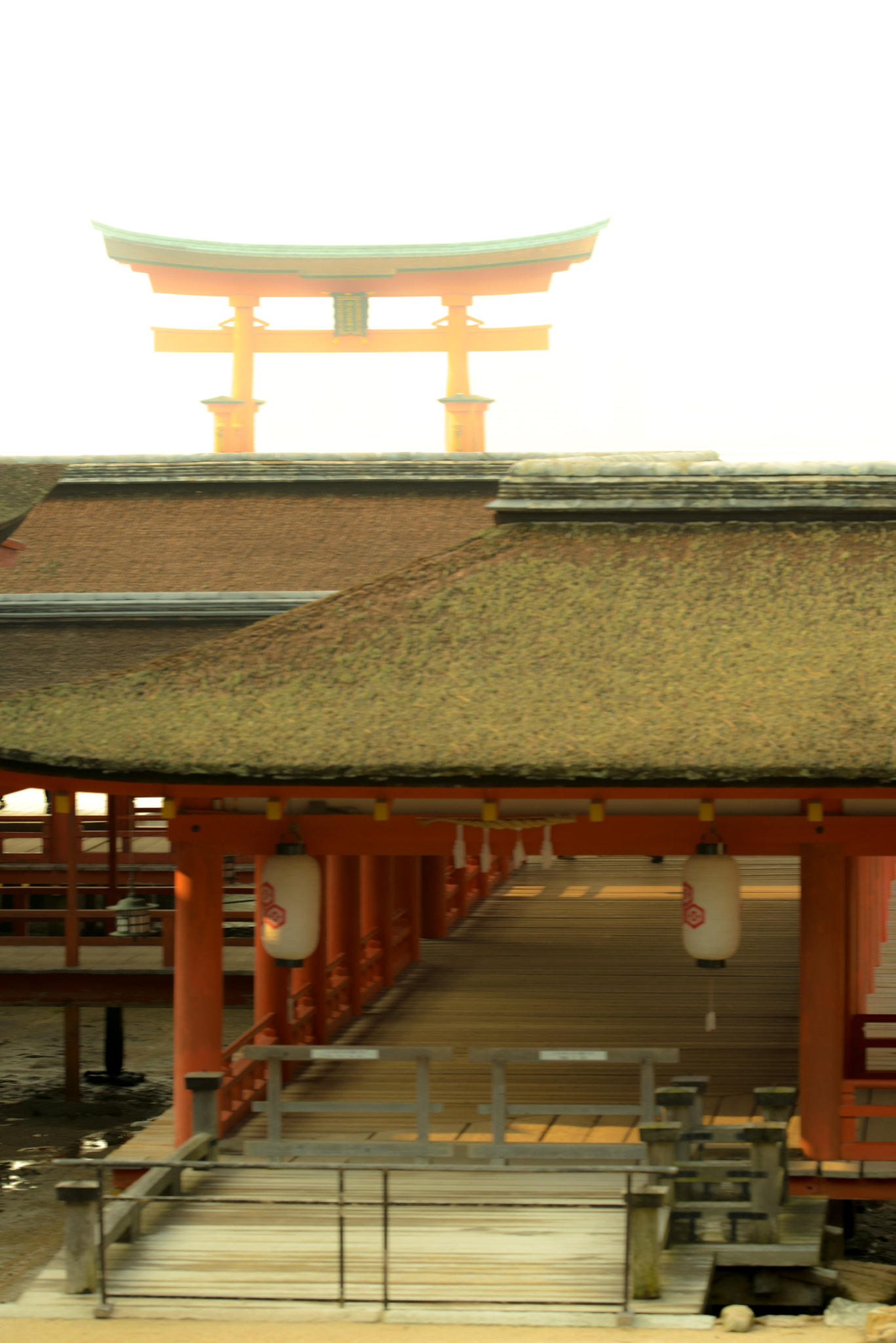 Sigma 150mm F2.8 EX DG OS Macro HSM sample photo. Itsukushima shrine photography