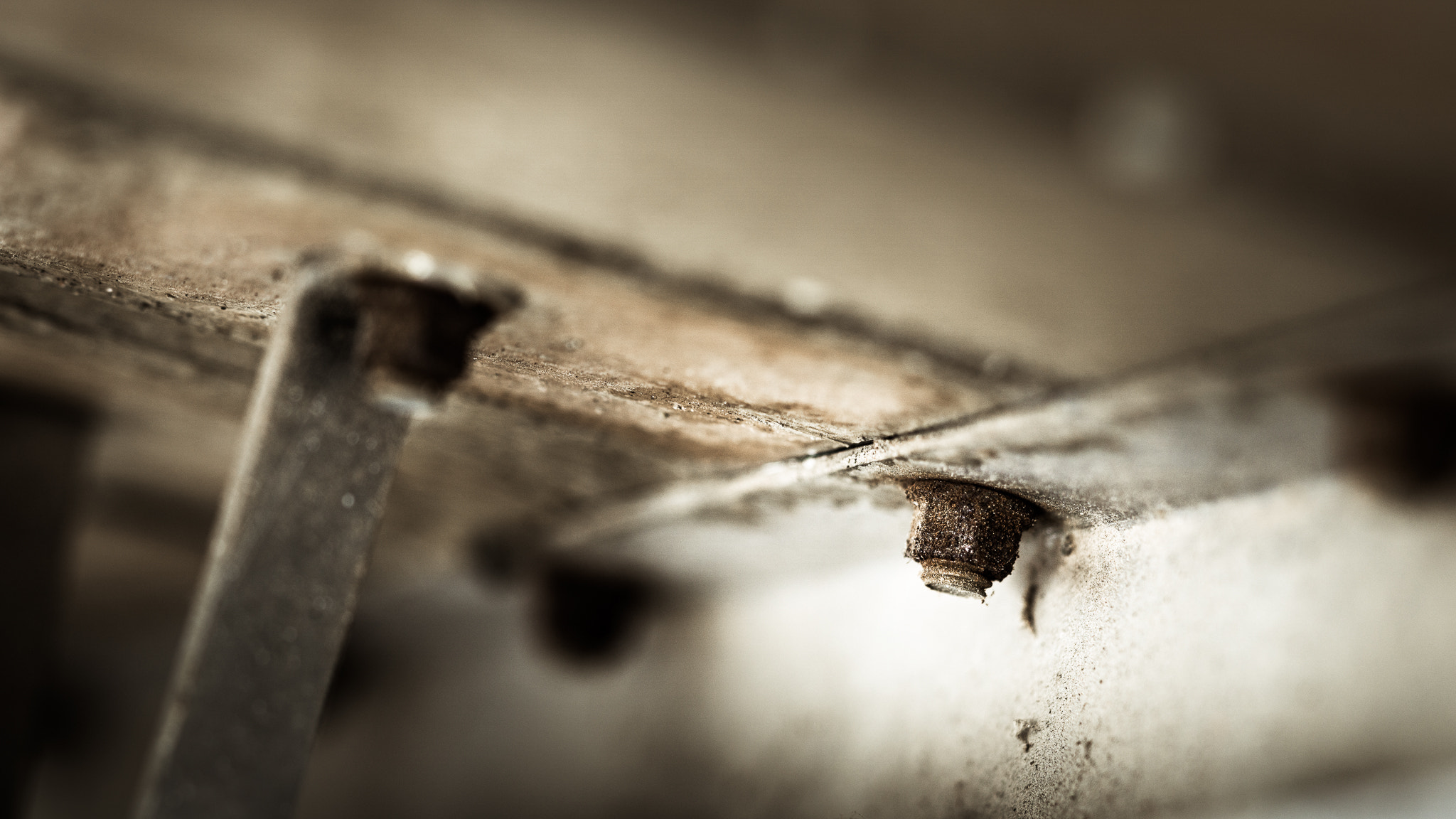 Sony a6000 + Sony FE 90mm F2.8 Macro G OSS sample photo. Rest rust photography