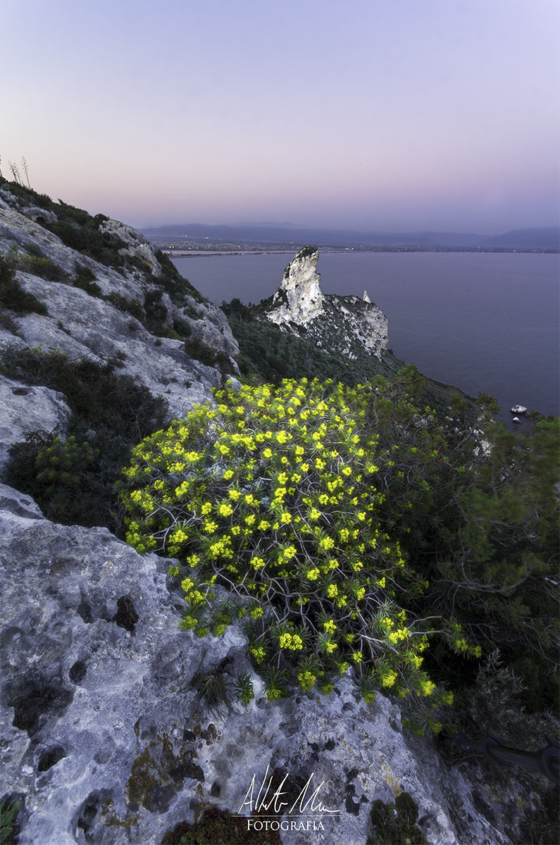 Sigma AF 10-20mm F4-5.6 EX DC sample photo. Pastel sunset photography