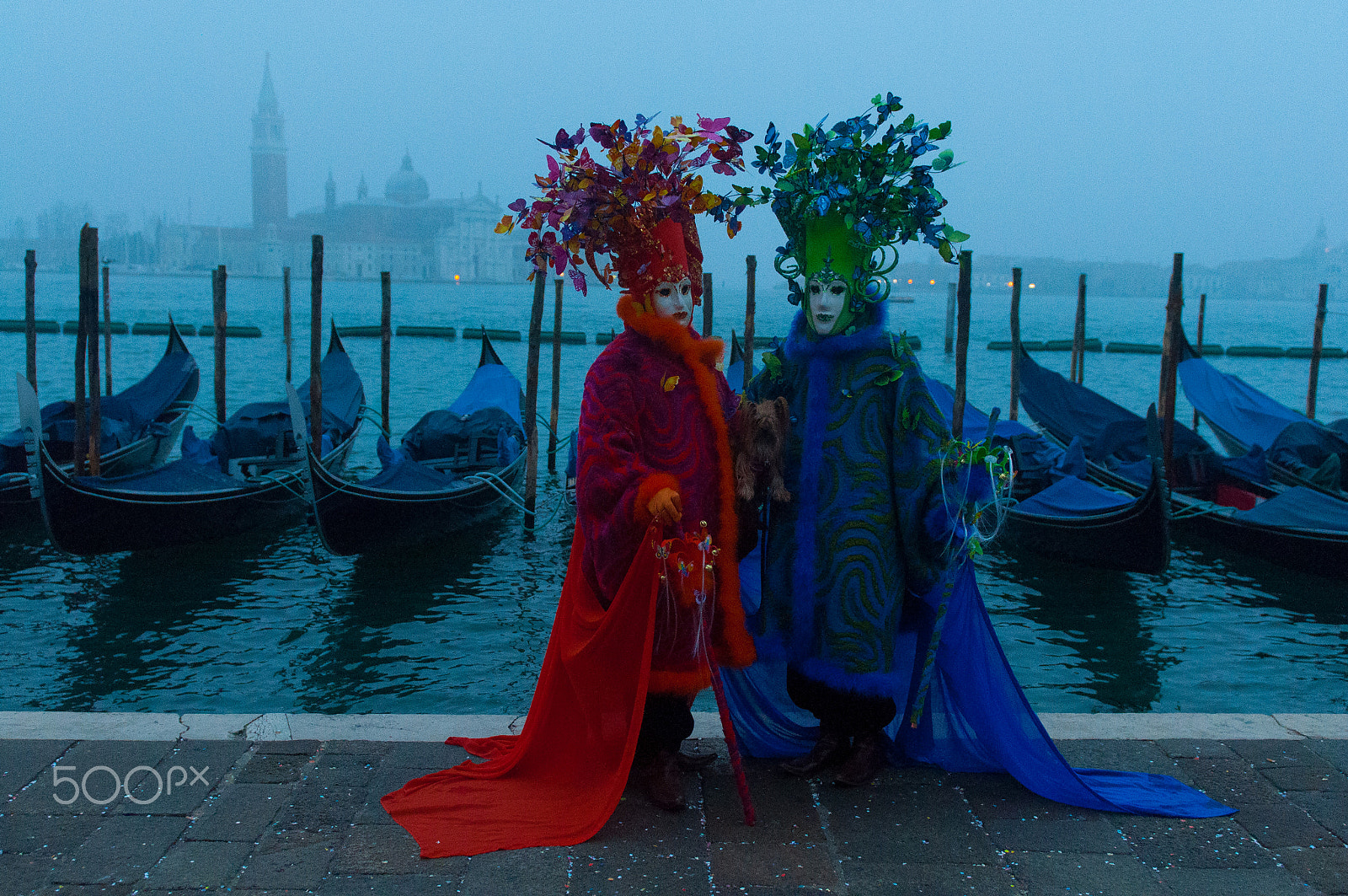 Nikon D90 sample photo. Venice carnival butterfly blue hour photography