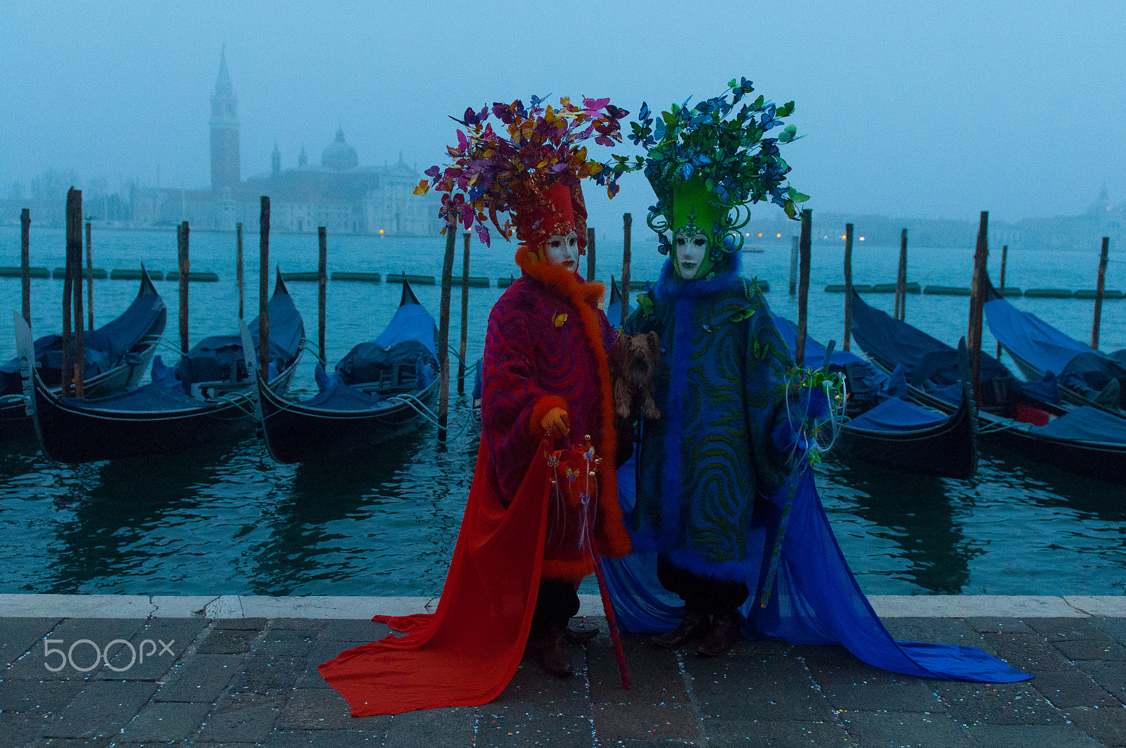 Nikon AF-S Nikkor 24-70mm F2.8G ED sample photo. Venice carnival butterfly blue hour photography