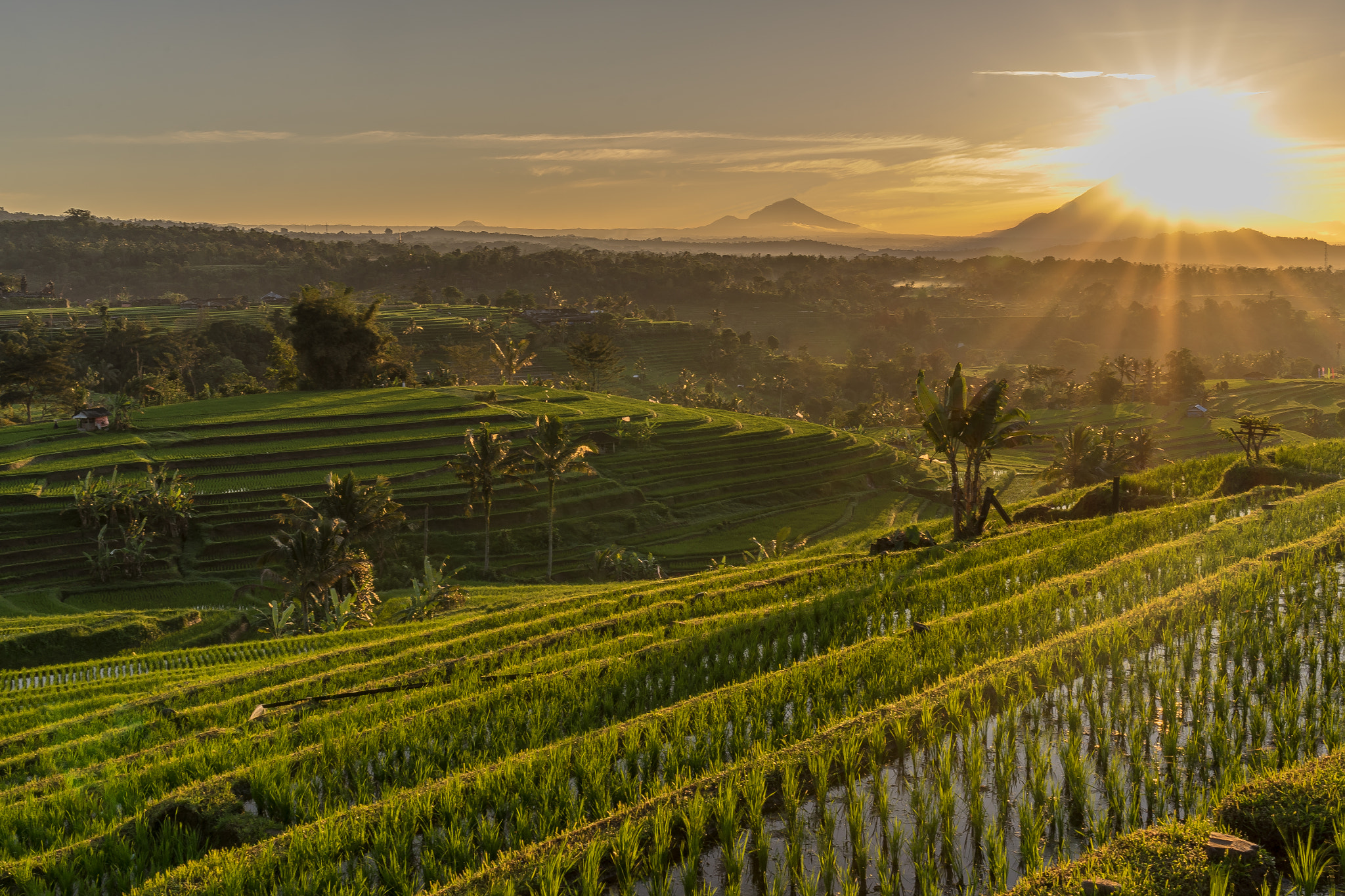 Sony a7 II sample photo. Bali sunrise photography