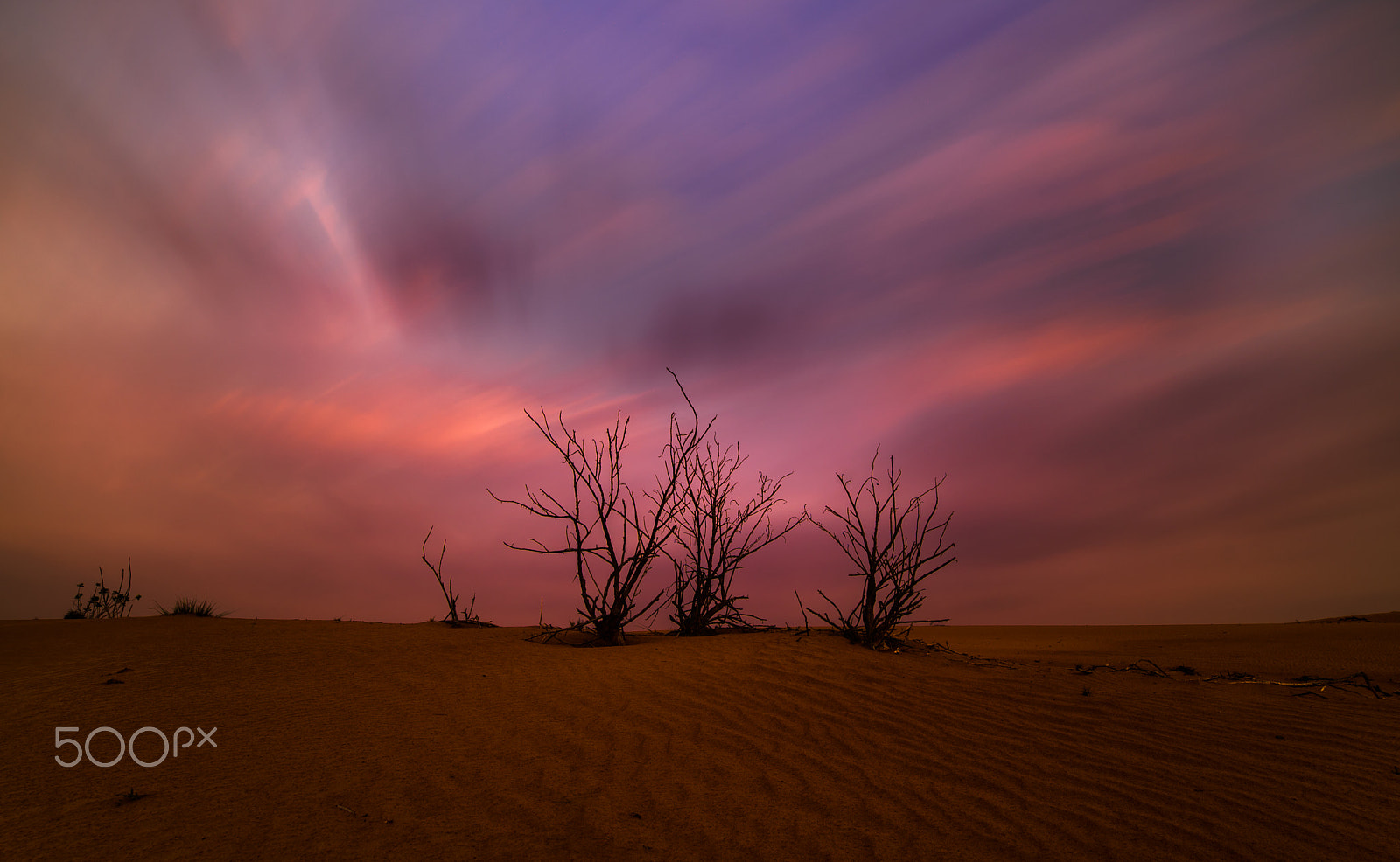 Samyang 14mm F2.8 ED AS IF UMC sample photo. Desert sunset photography