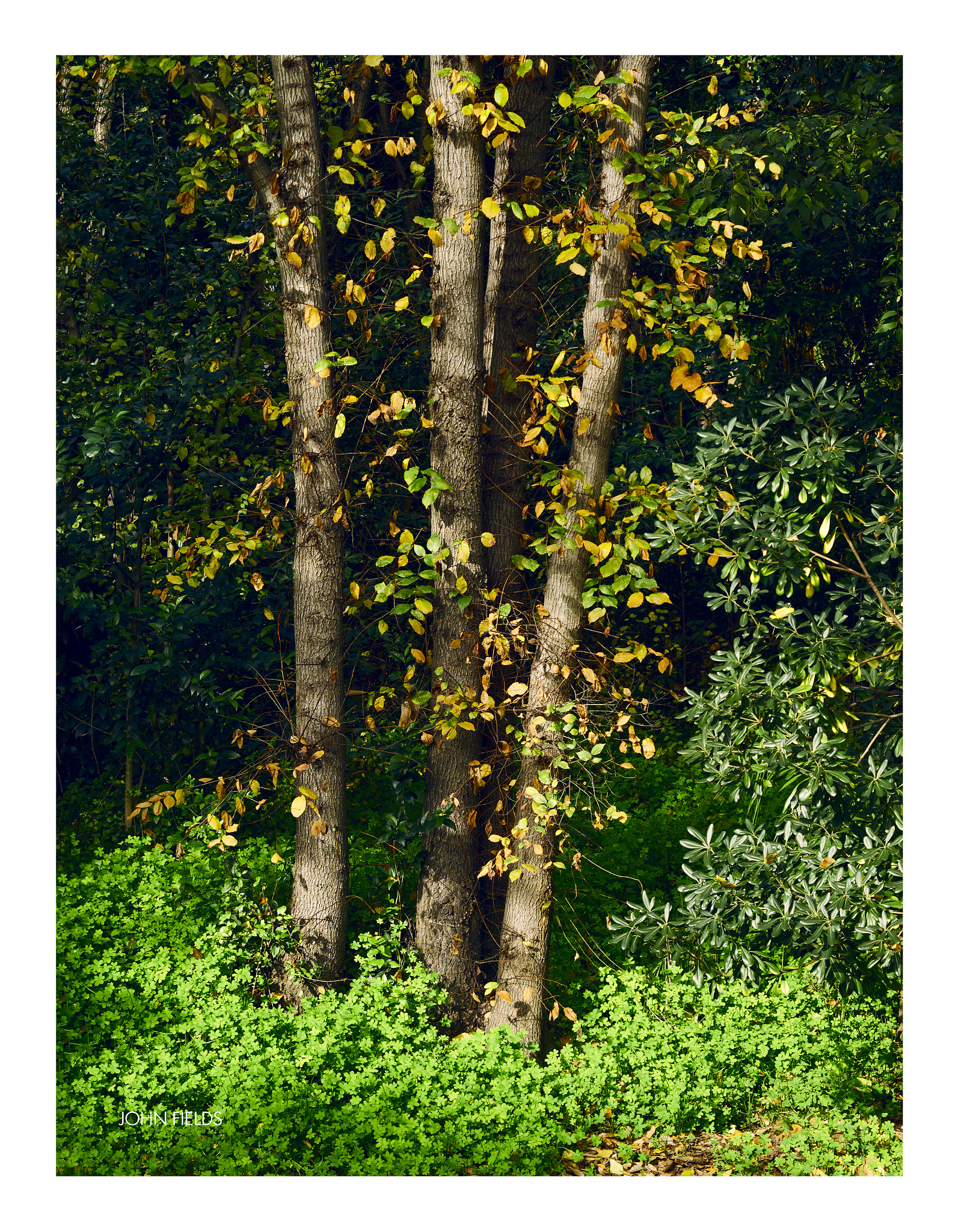 Panasonic Lumix DMC-GX8 + Olympus M.Zuiko Digital ED 12-40mm F2.8 Pro sample photo. Málaga (45) jardín botánico photography