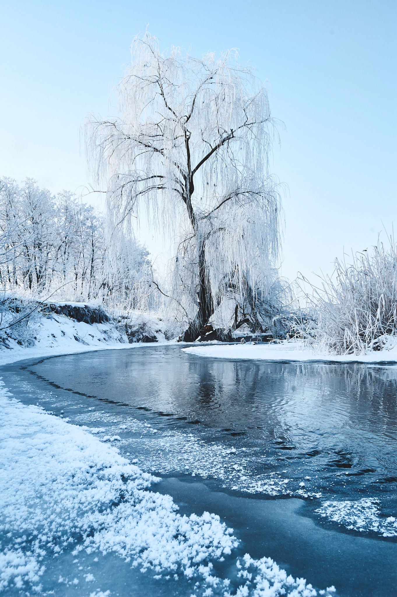 Nikon AF-S DX Nikkor 18-55mm F3.5-5.6G VR sample photo. Winter morning photography