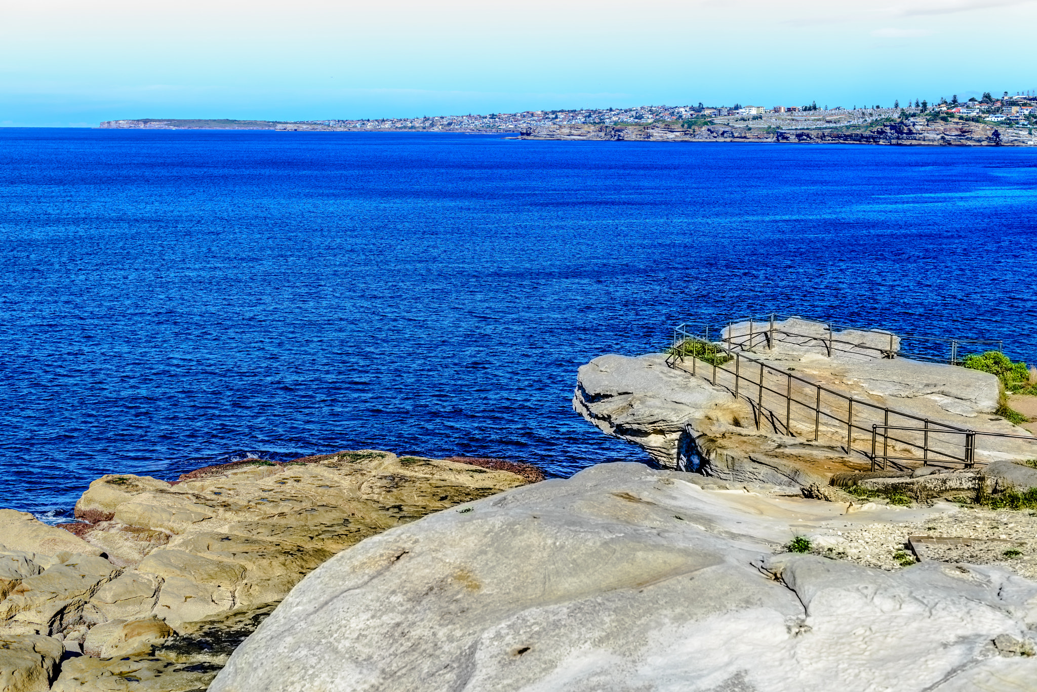 Nikon D800E sample photo. Whale watching photography