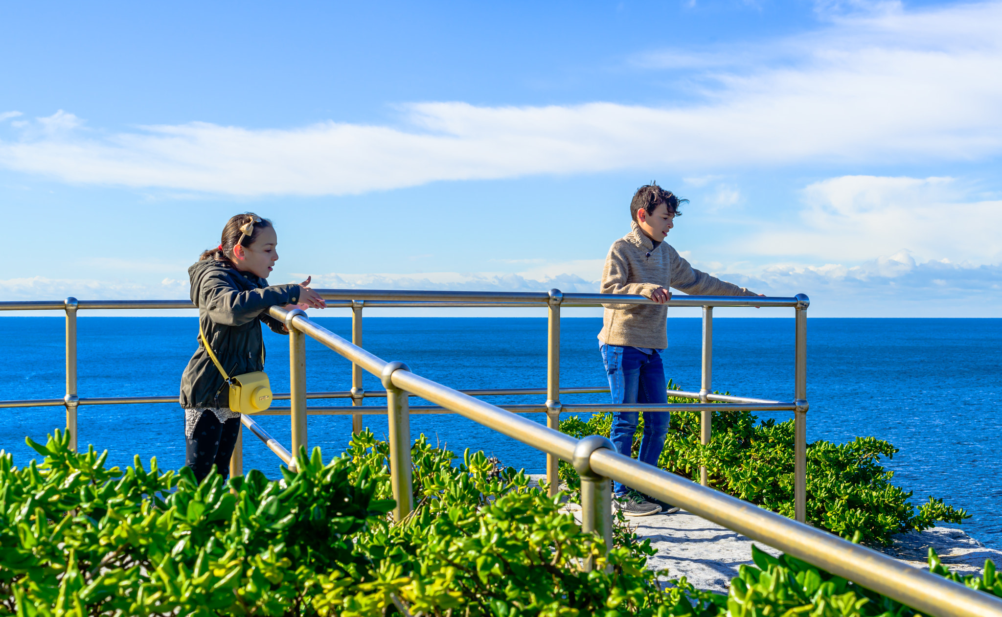 Nikon D800E + Nikon AF-S Nikkor 50mm F1.4G sample photo. Two loves photography