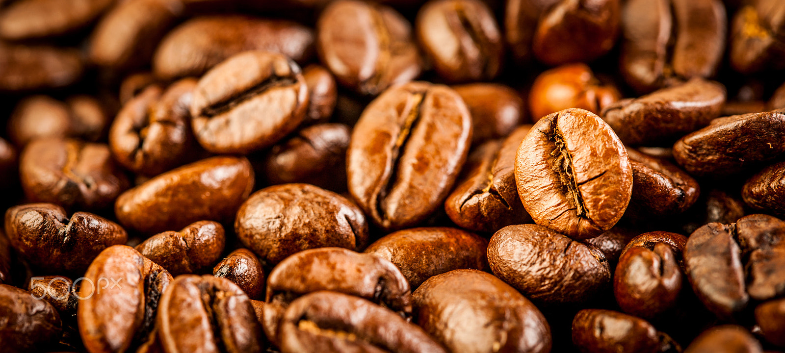 Canon EOS 5D + Canon EF 100mm F2.8 Macro USM sample photo. Coffee beans photography