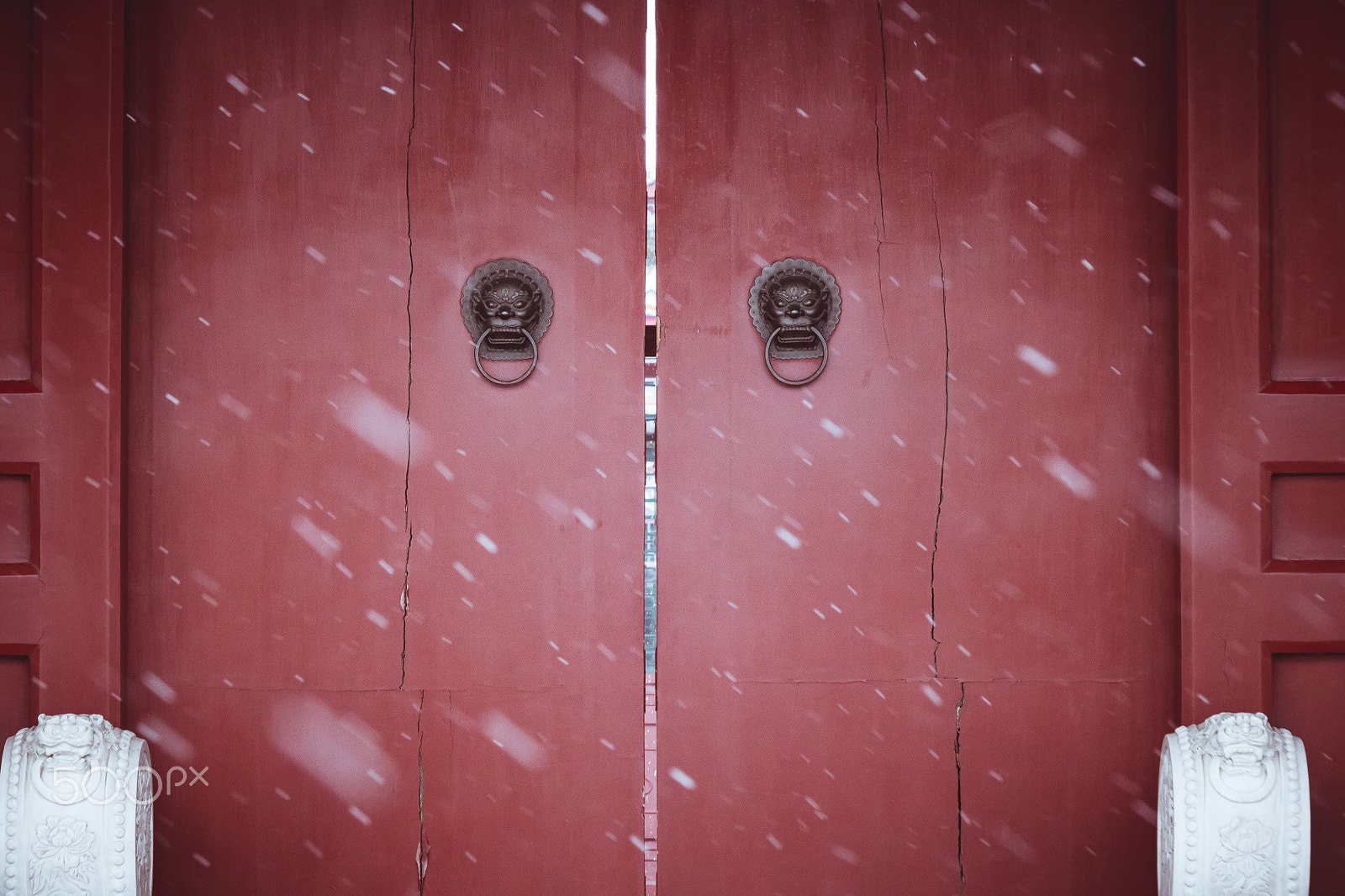Canon EOS 760D (EOS Rebel T6s / EOS 8000D) sample photo. Snow flash from the door photography