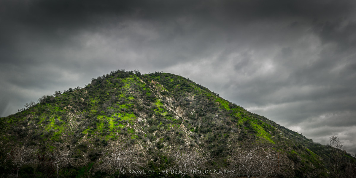 Sigma 24-70mm F2.8 EX DG Macro sample photo. Azusa canyons photography