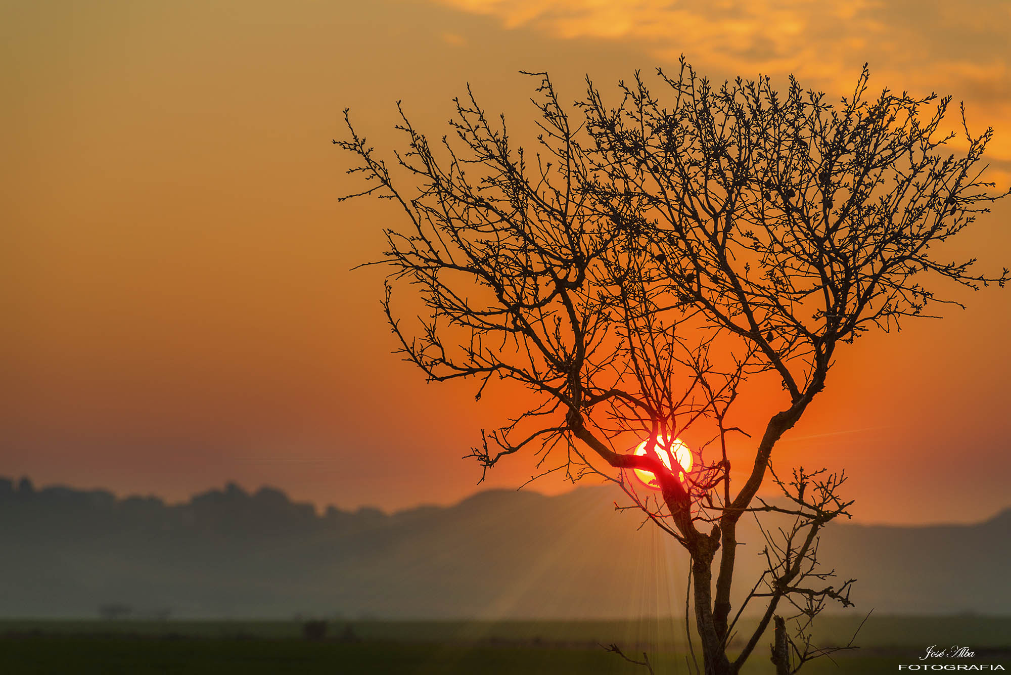 Nikon D800 sample photo. Atardecer photography