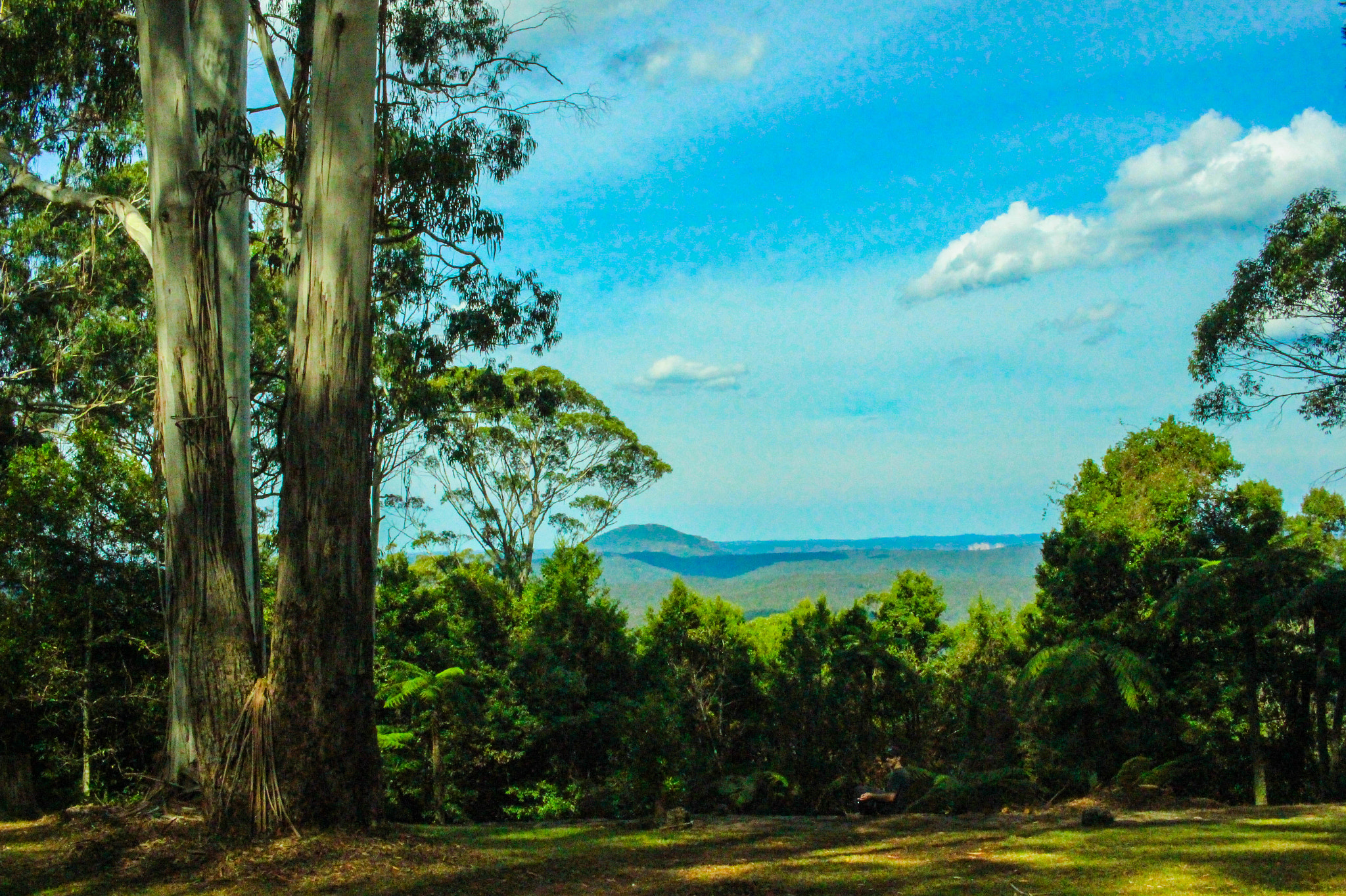 Canon EF-S 24mm F2.8 STM sample photo. Clear sky at the amazing park photography
