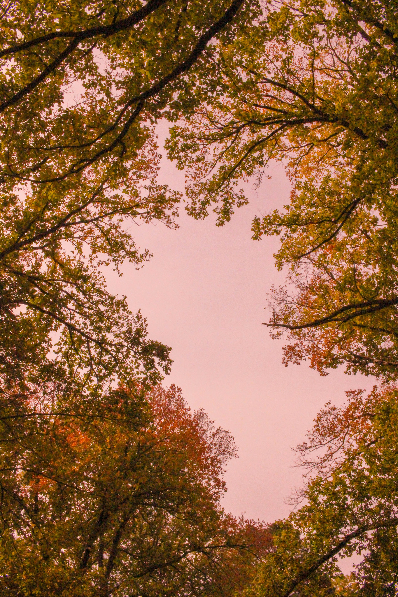 Canon EF-S 24mm F2.8 STM sample photo. Look at the warm sky photography