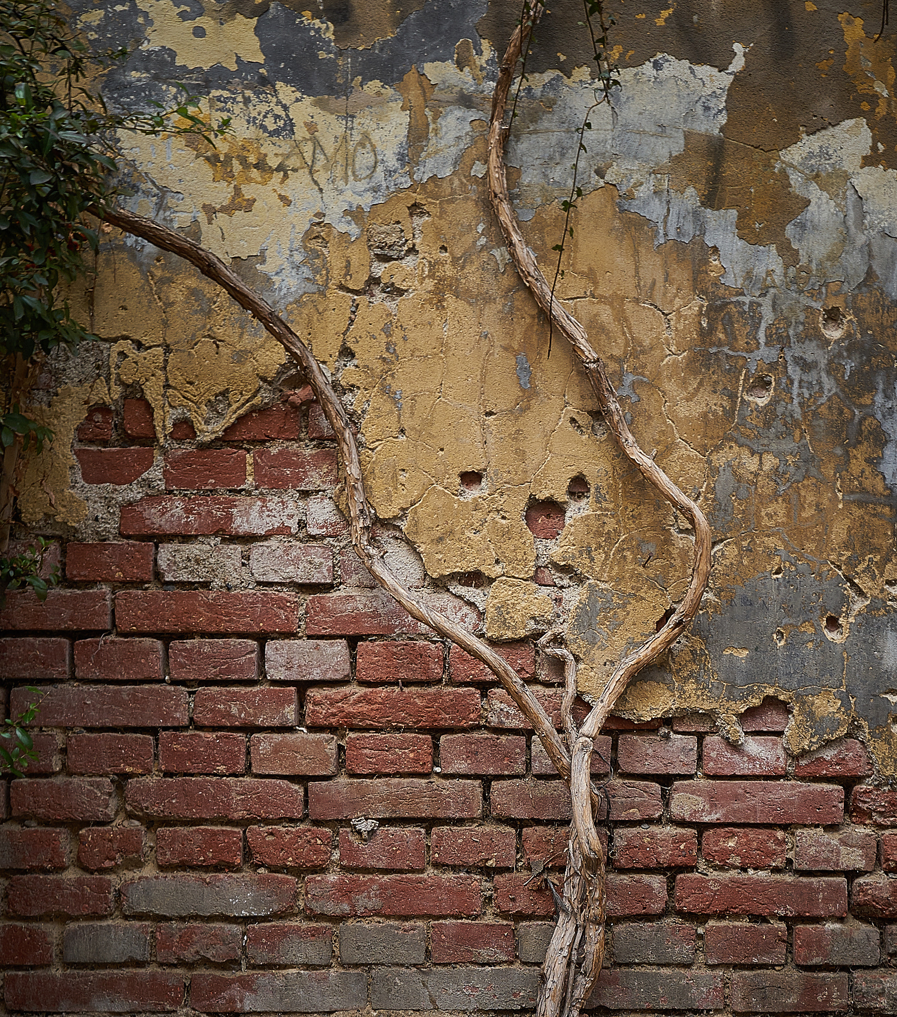ZEISS Batis 18mm F2.8 sample photo. Wall 1 photography
