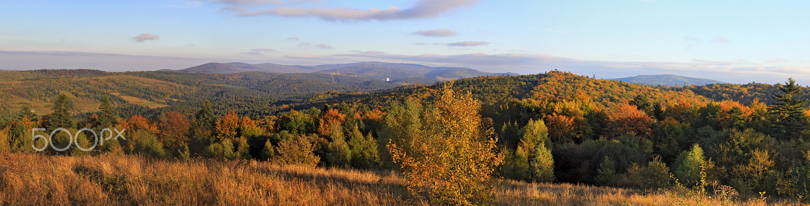 Sigma 35mm F1.4 DG HSM Art sample photo. Panorama autumn carpathian resort near skhidnytsia photography