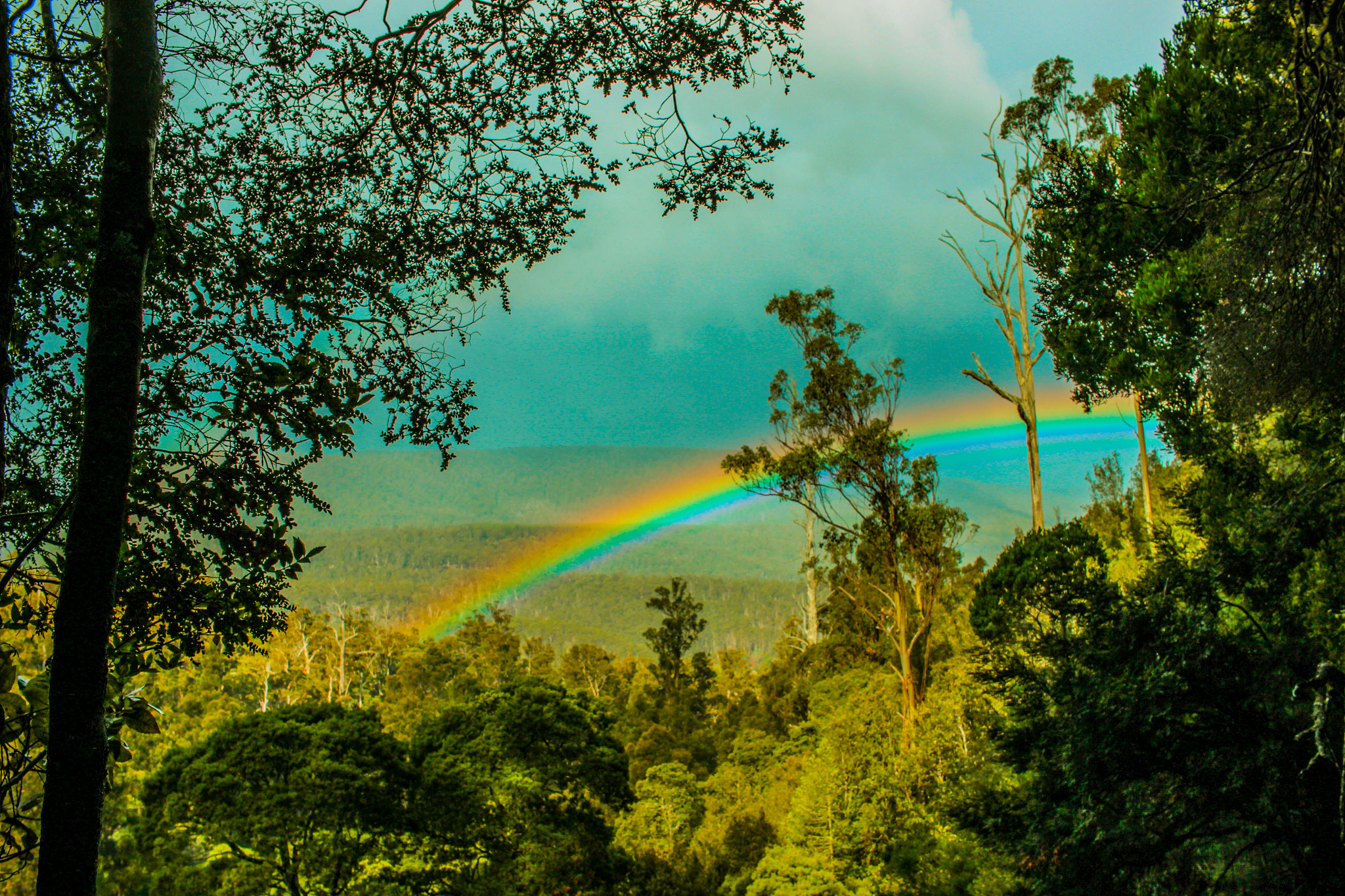 Canon EF-S 24mm F2.8 STM sample photo. Over the rainbow photography