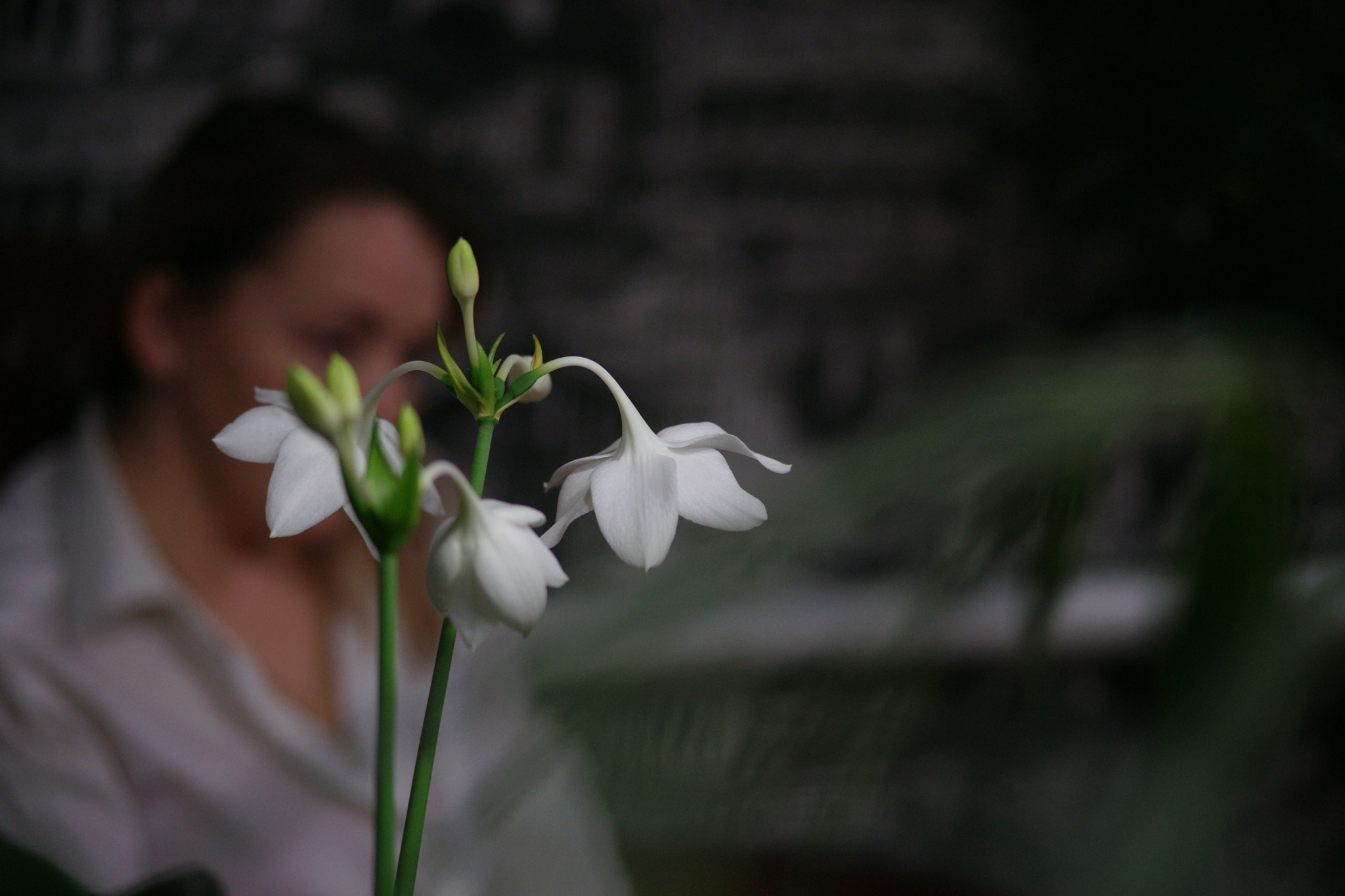 Sony 85mm F2.8 SAM sample photo