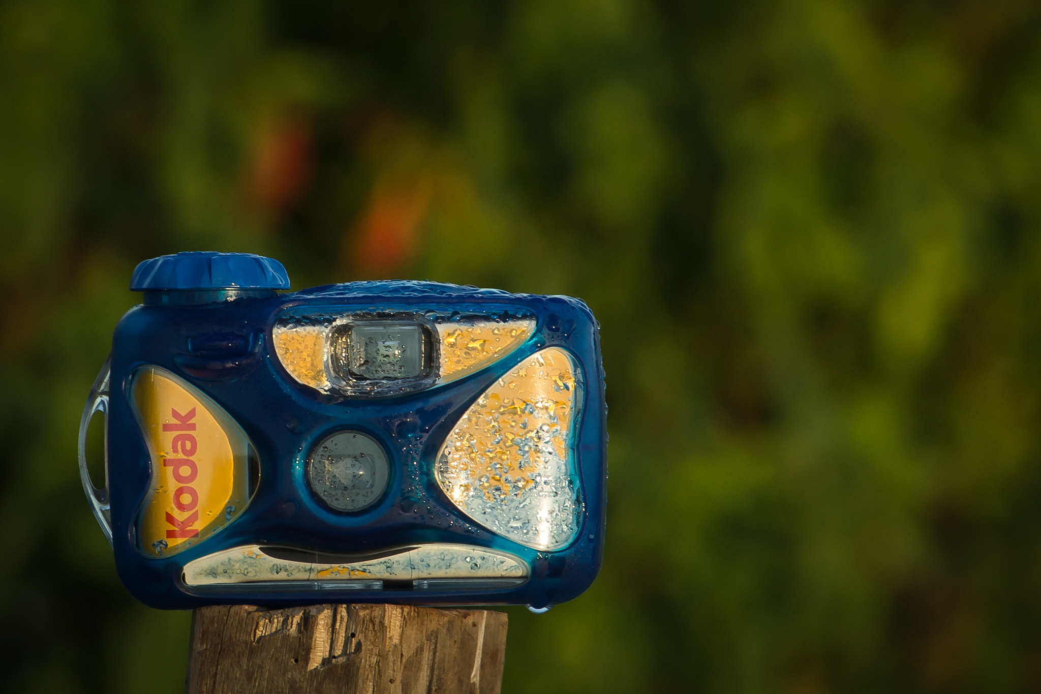 Canon EF-S 55-250mm F4-5.6 IS STM sample photo. Kodak photography