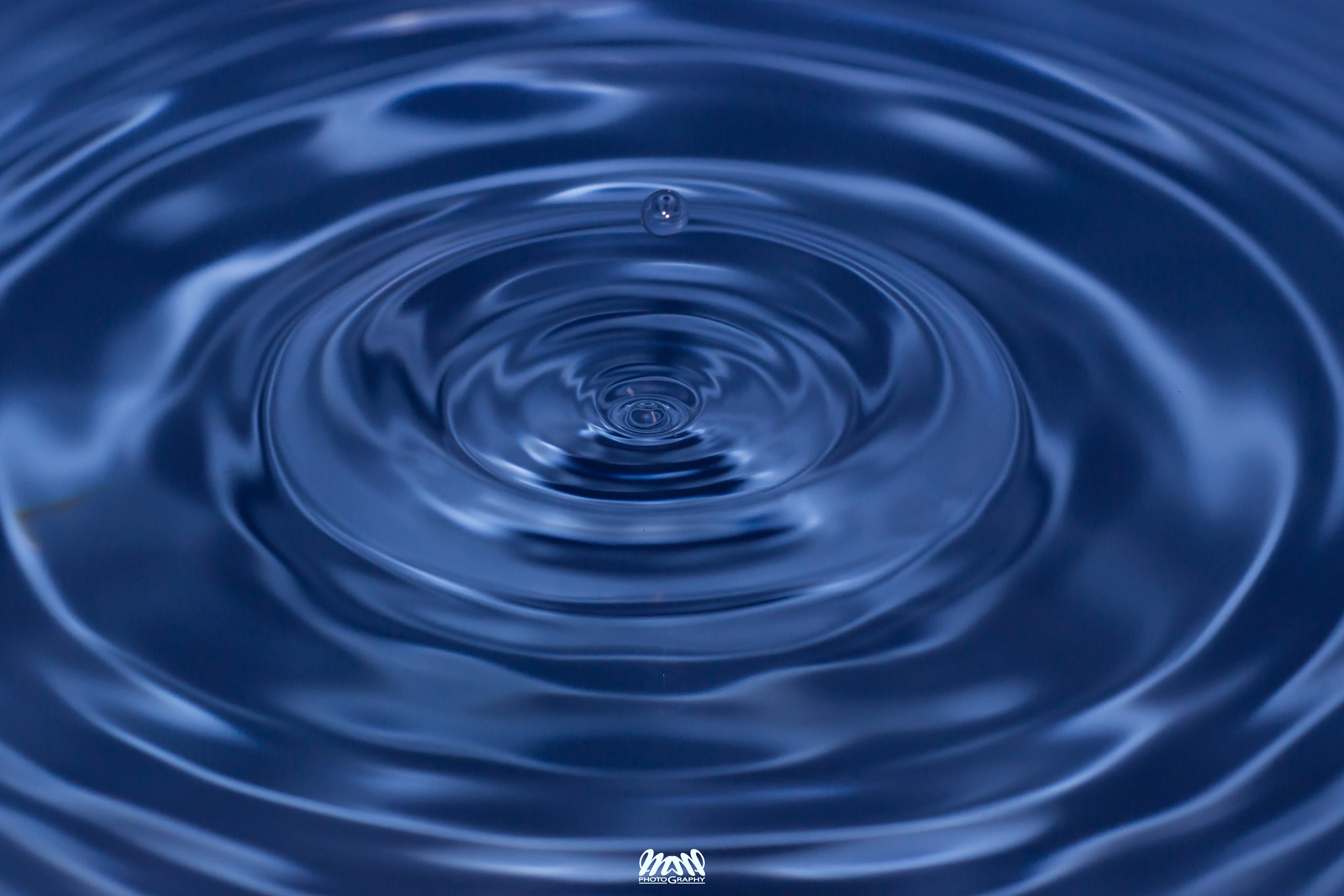 Canon EF 180mm F3.5L Macro USM sample photo. In blu... photography