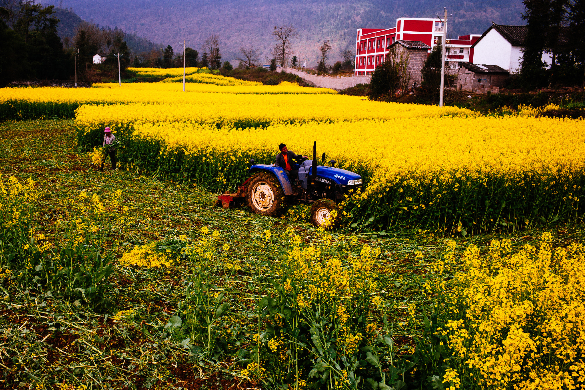 Leica M (Typ 240) + Summicron-M 1:2/35 ASPH. sample photo