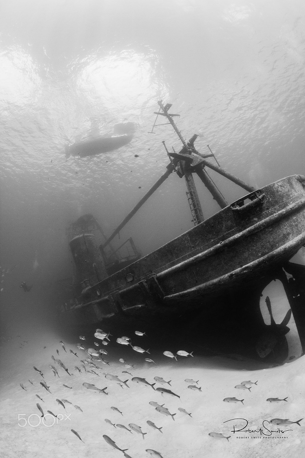 Tokina AT-X 10-17mm F3.5-4.5 DX Fisheye sample photo. Jacks patrolling the kittiwake wreck photography