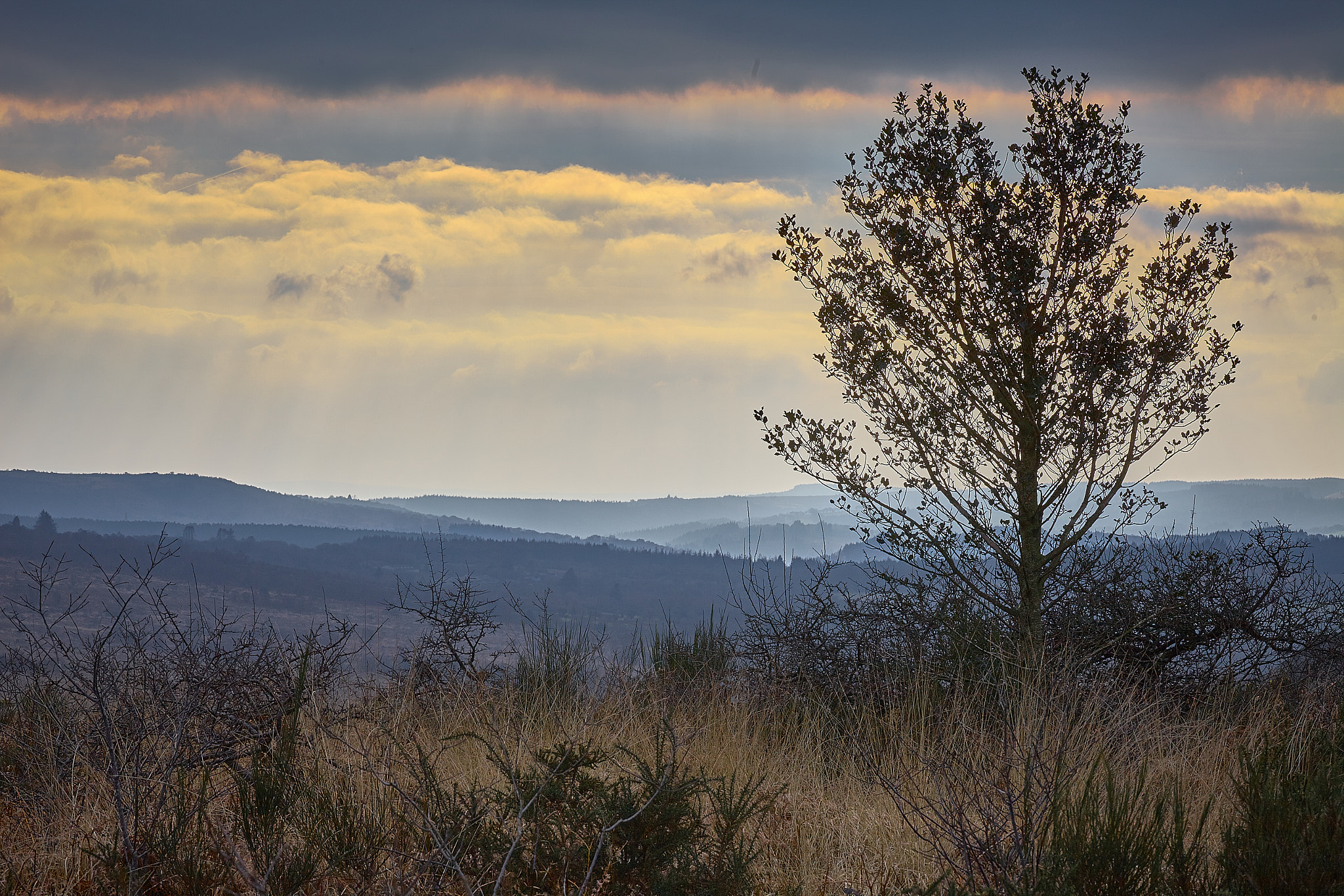 Canon EOS 5D Mark II sample photo. Savane armoricaine photography