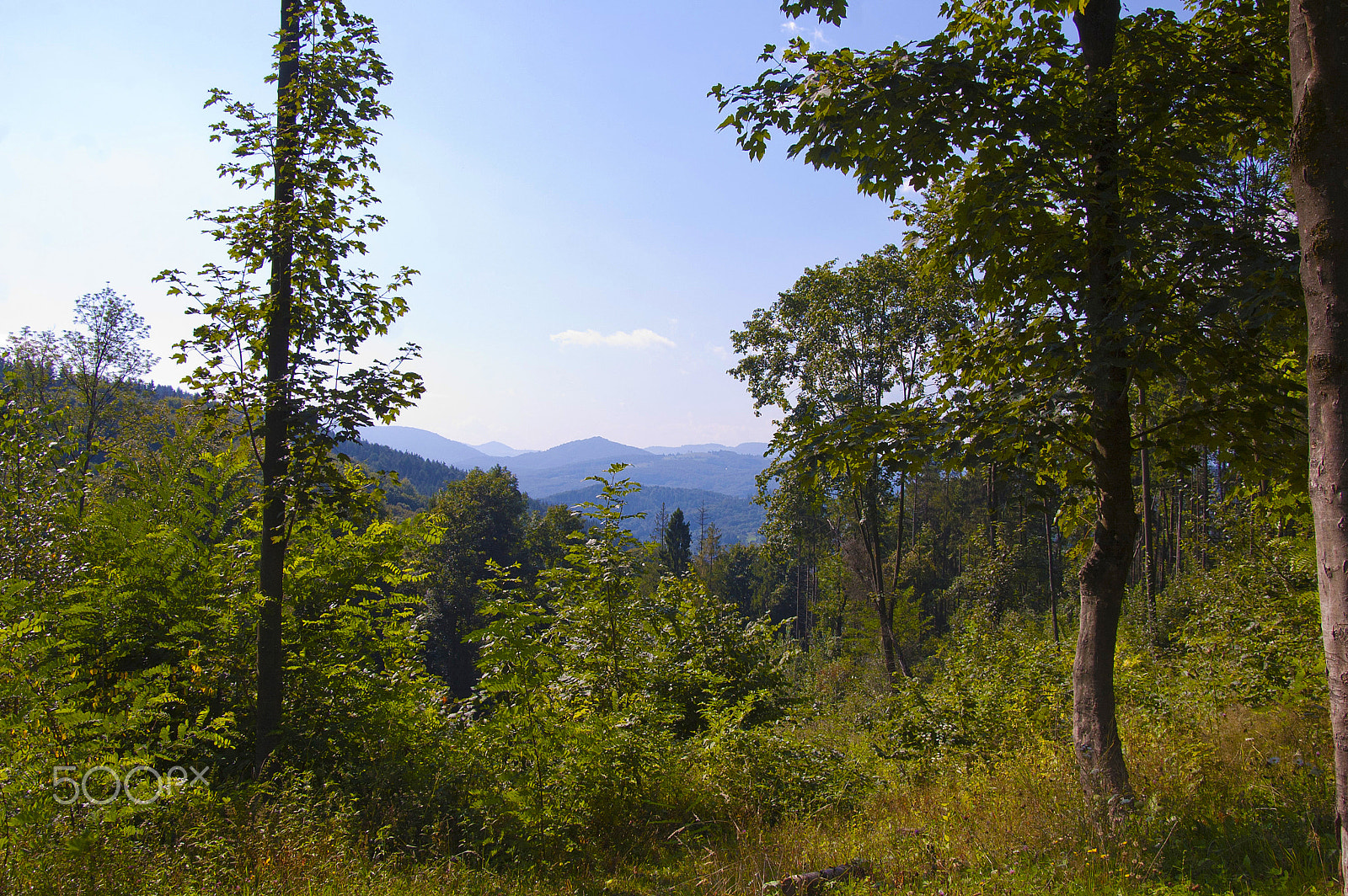 Nikon D40 sample photo. Carpathians photography