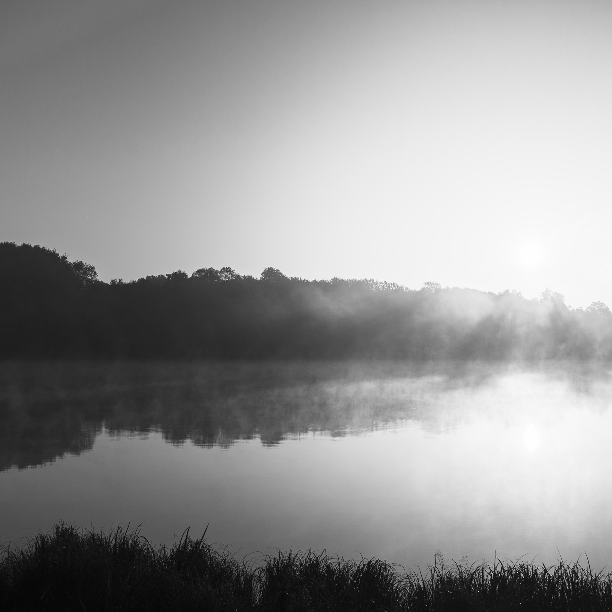 Nikon AF-S Nikkor 24-120mm F4G ED VR sample photo. Foggy morning photography