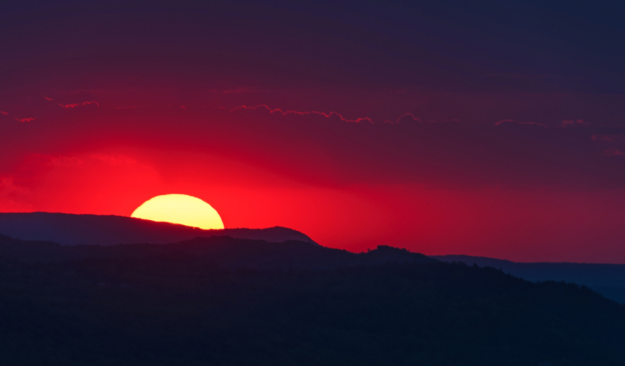 Nikon D810 sample photo. Sunset in the buda hills photography