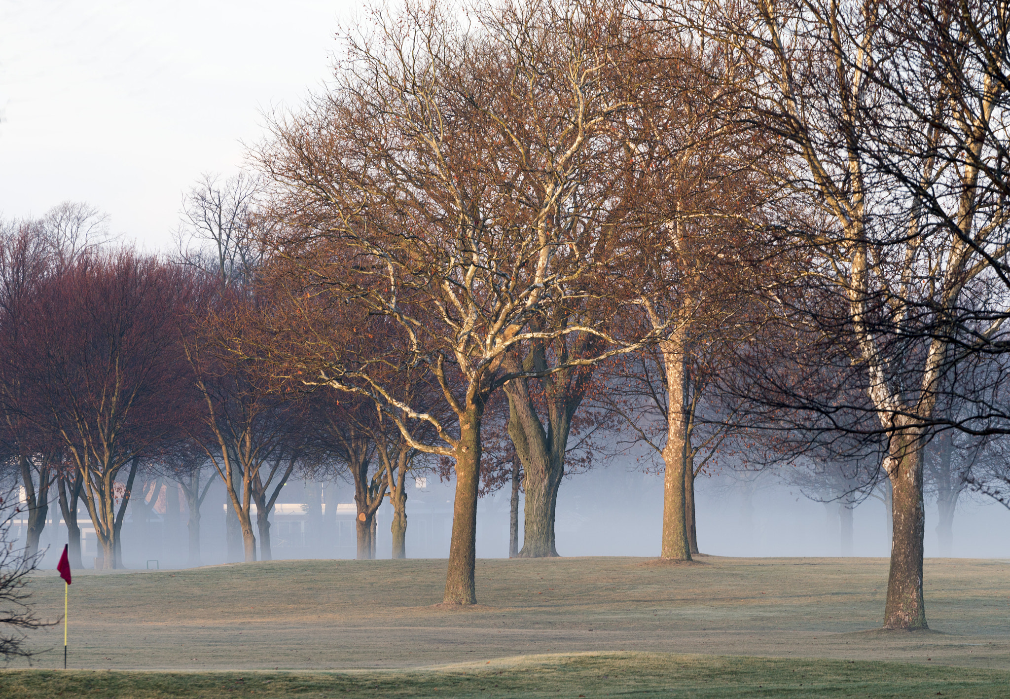 Sony FE 70-200mm F2.8 GM OSS sample photo. Early morning fog & sun combination photography