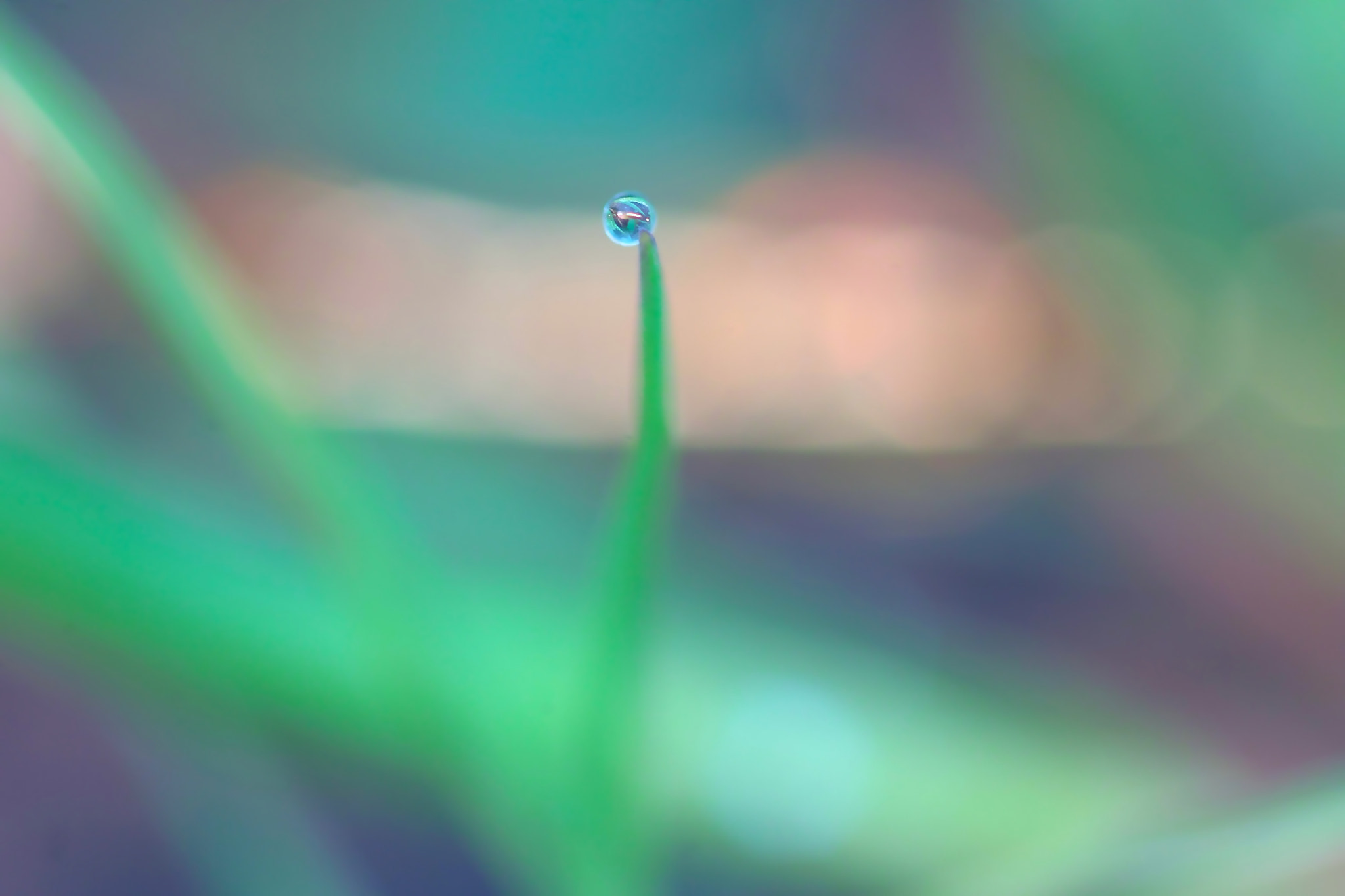 Sigma SD15 sample photo. Fumi photography
