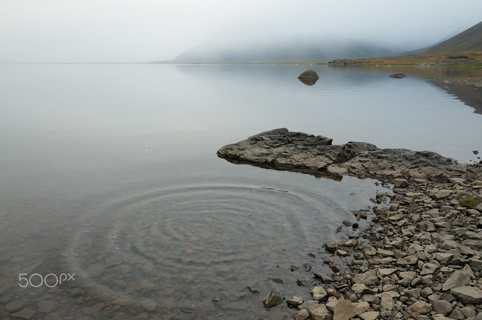 Nikon D5000 sample photo. Thoughts and ripples photography