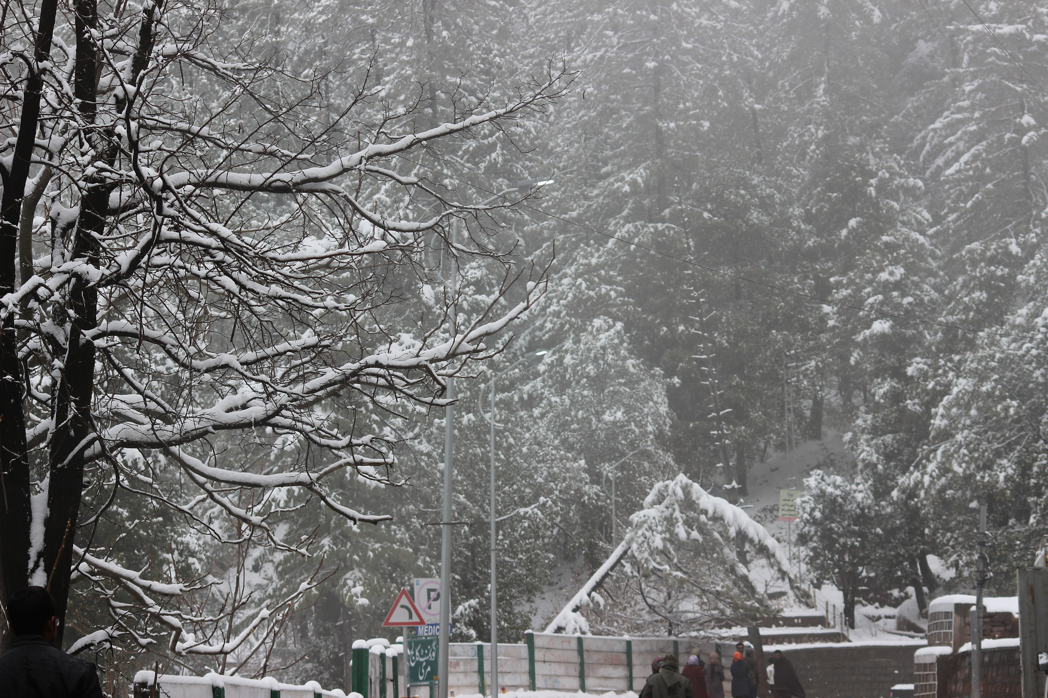Sigma 70-300mm F4-5.6 APO DG Macro sample photo. Snow fall photography