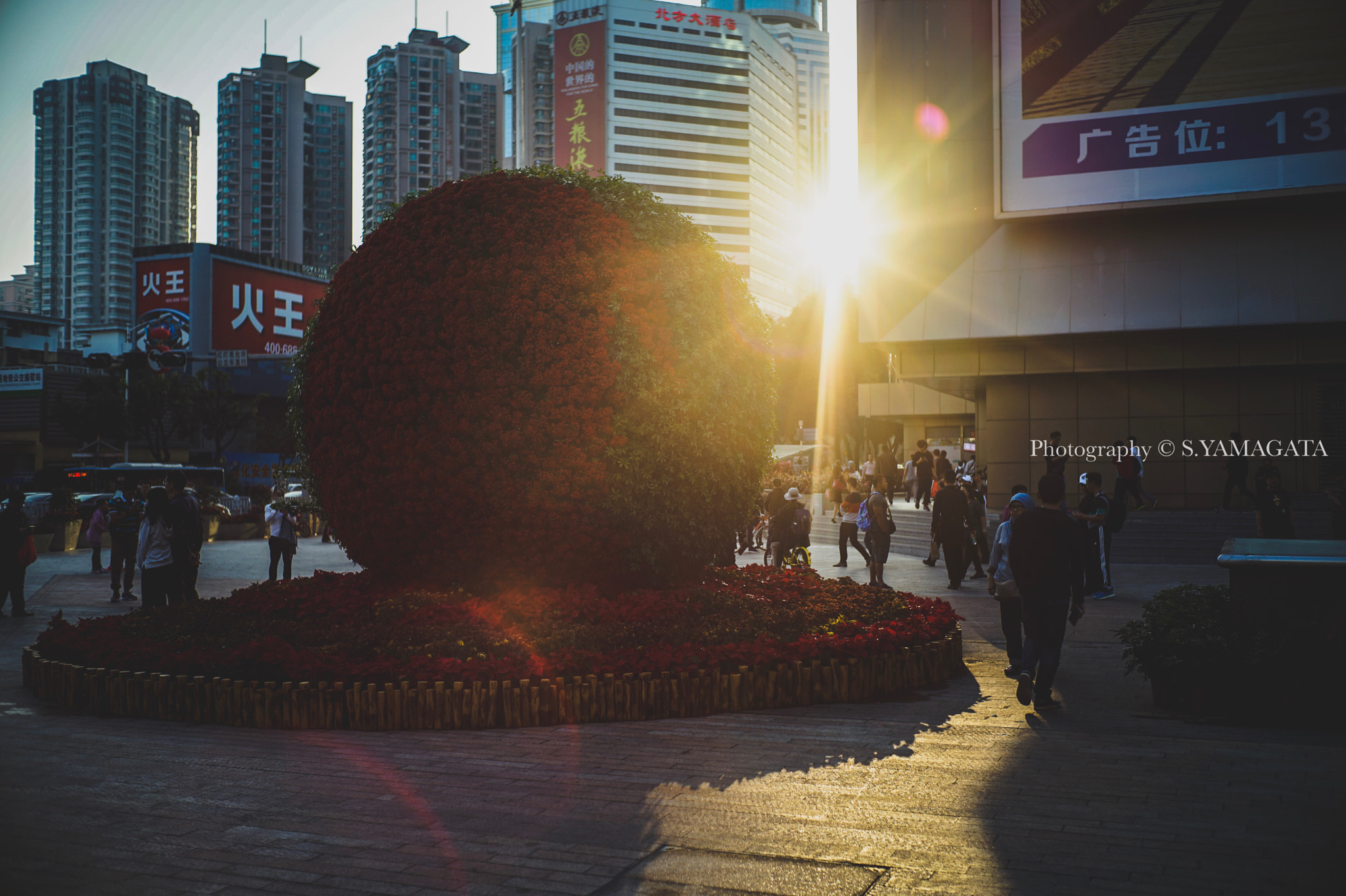 DT 40mm F2.8 SAM sample photo. Hqb photography
