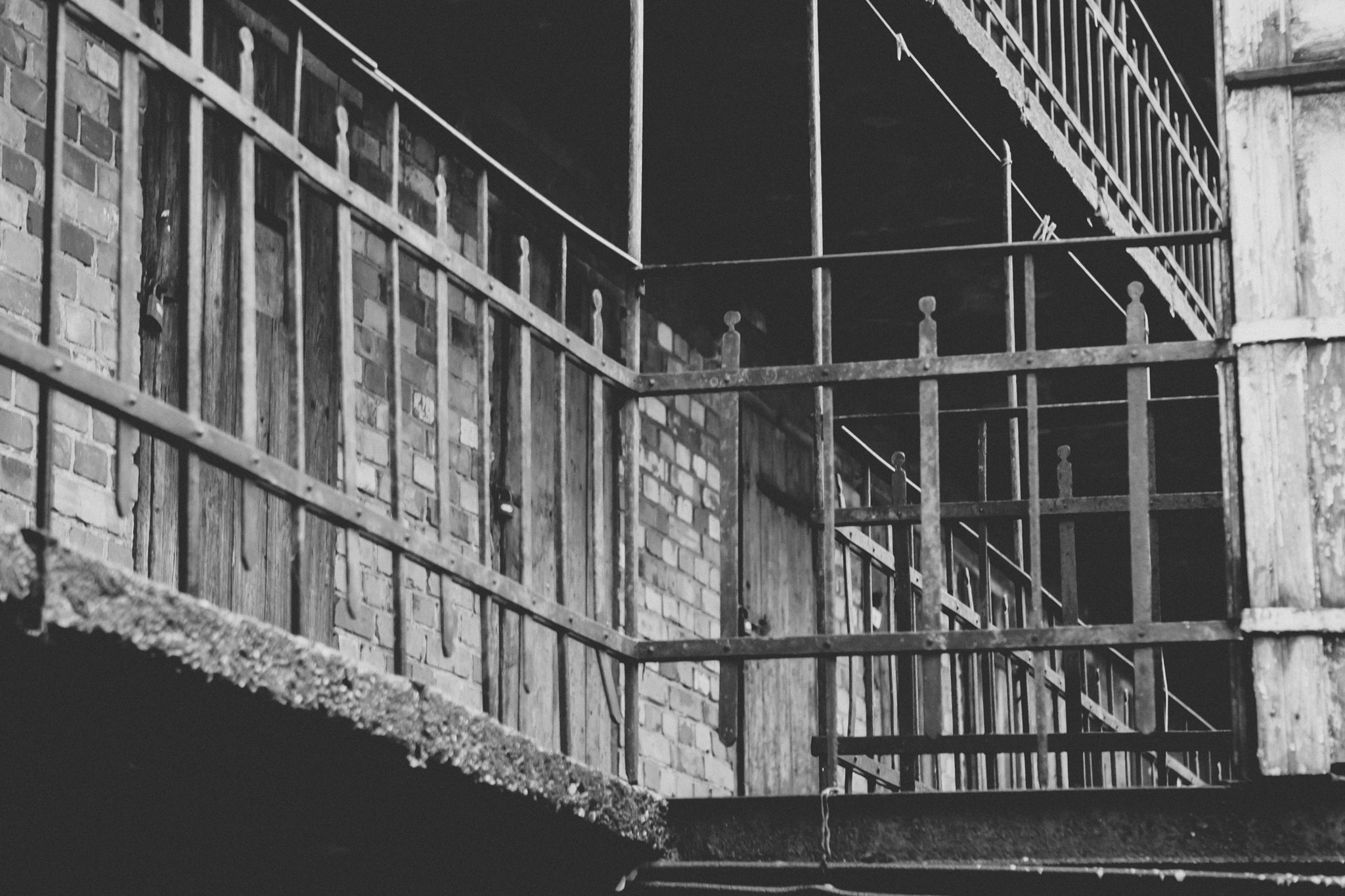 Canon EOS-1D Mark III sample photo. Railing photography