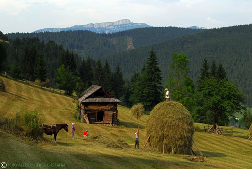 Nikon D200 sample photo. The authentic romania photography