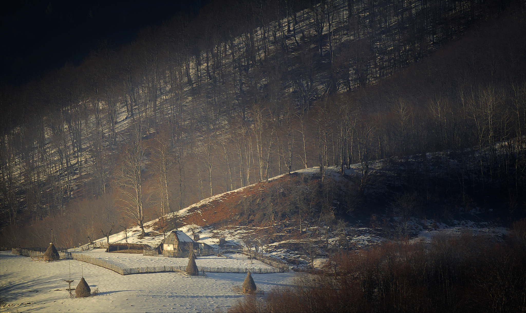 Canon EF 100-400mm F4.5-5.6L IS USM sample photo. Plai cu dor photography