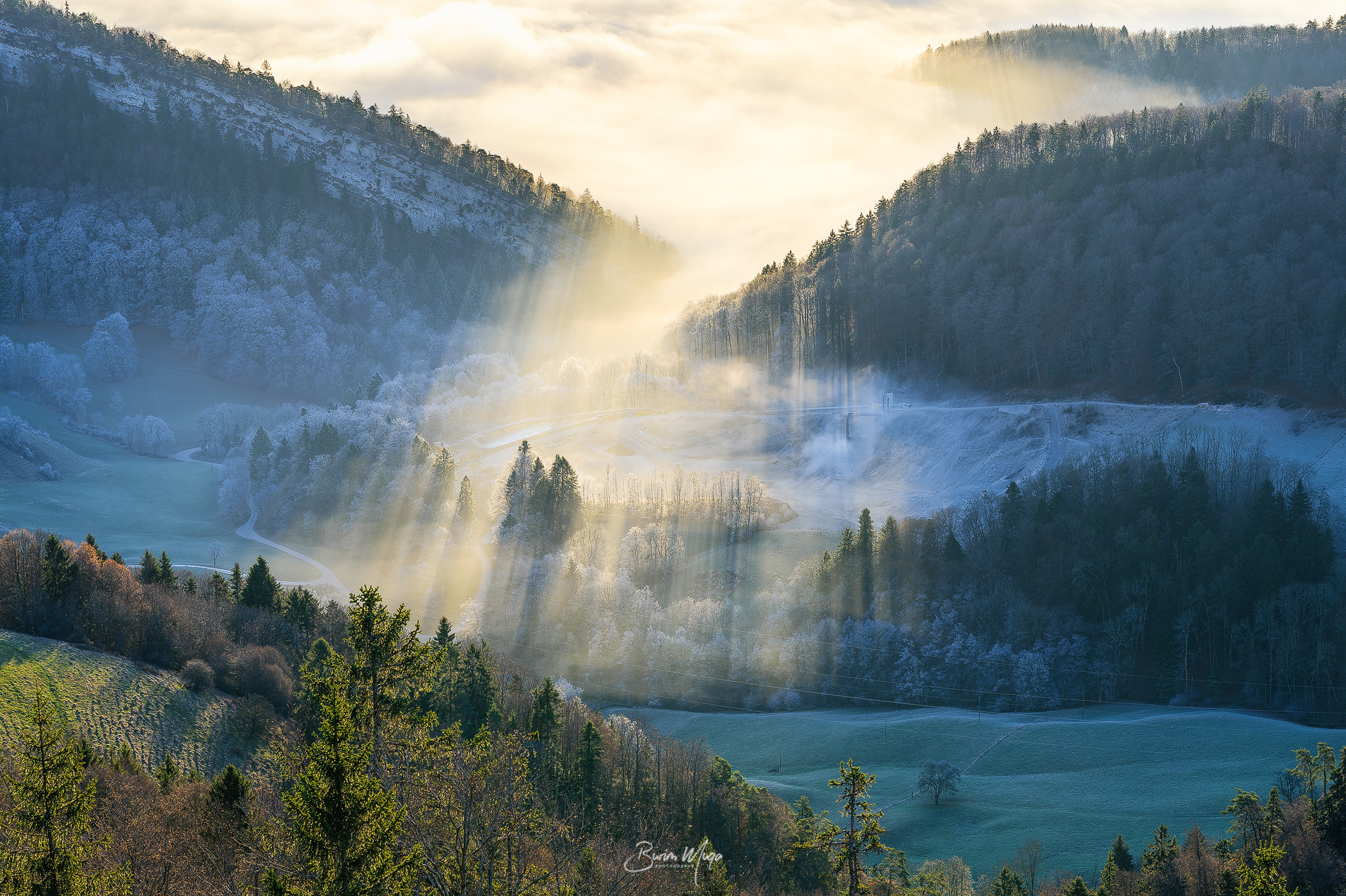 Nikon Df sample photo. Sunrise through the fog ii photography