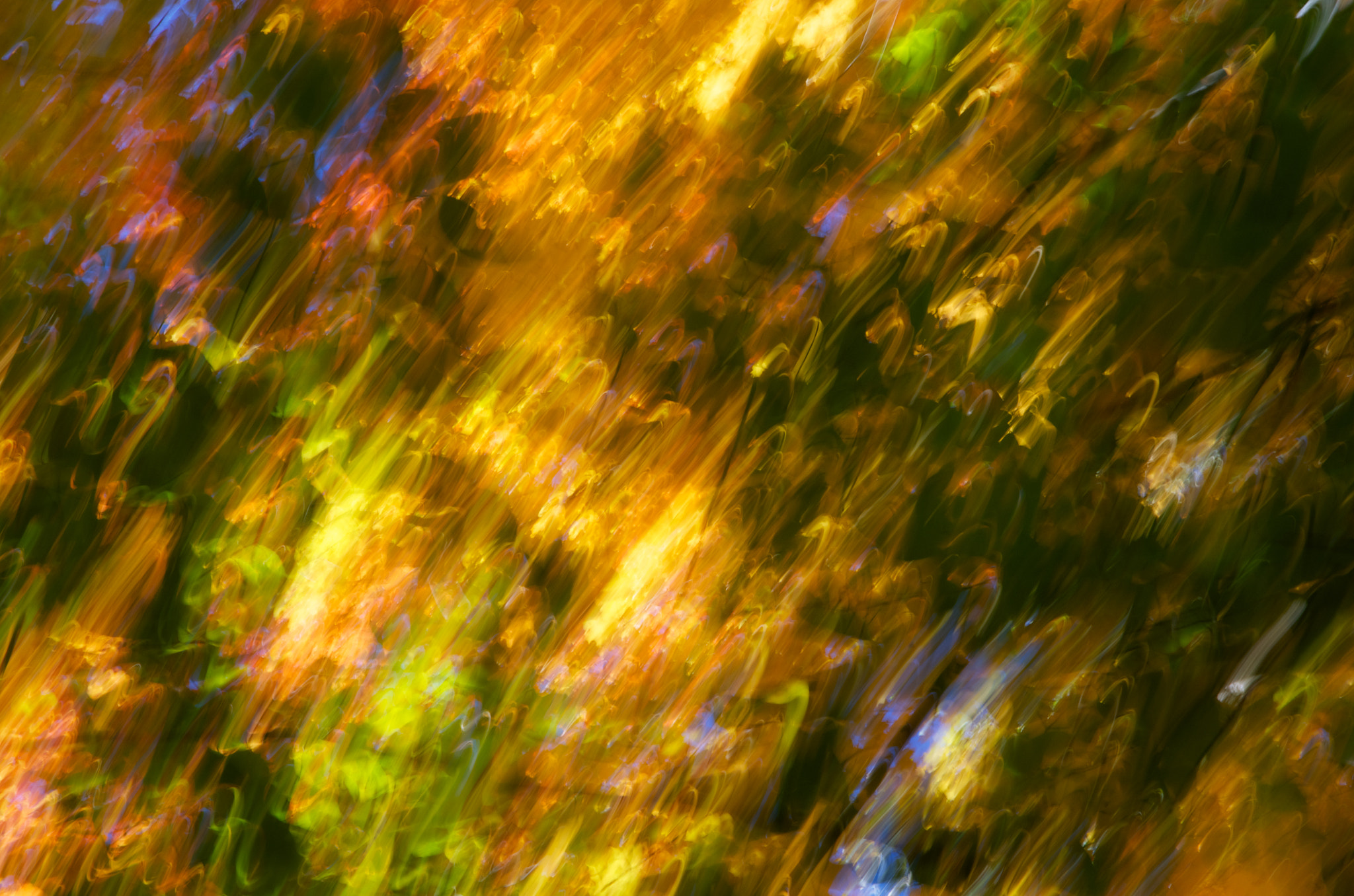 Pentax K-5 II sample photo. Painting with light (2016) photography