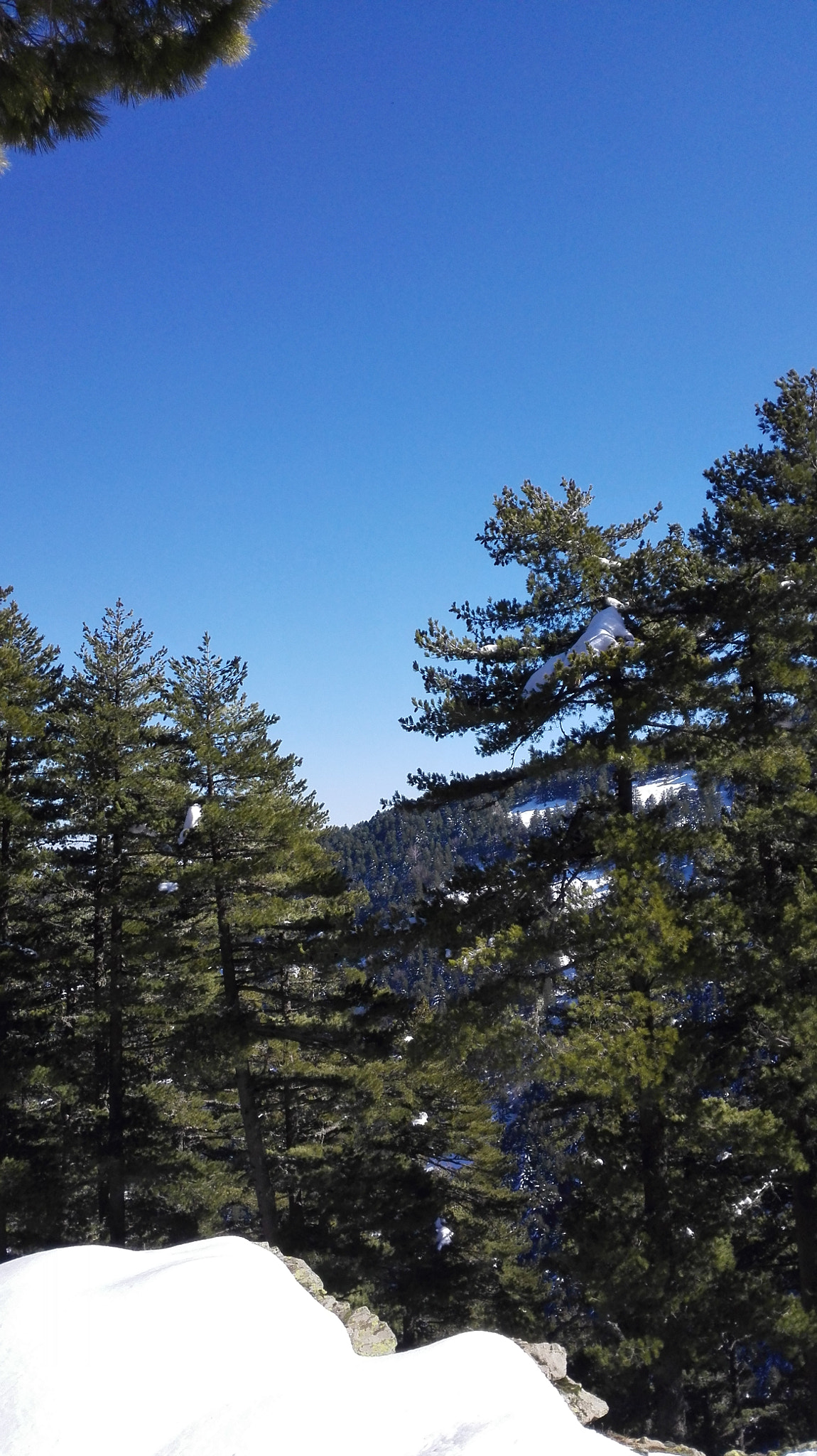 HUAWEI P7-L10 sample photo. My baba mountain photography