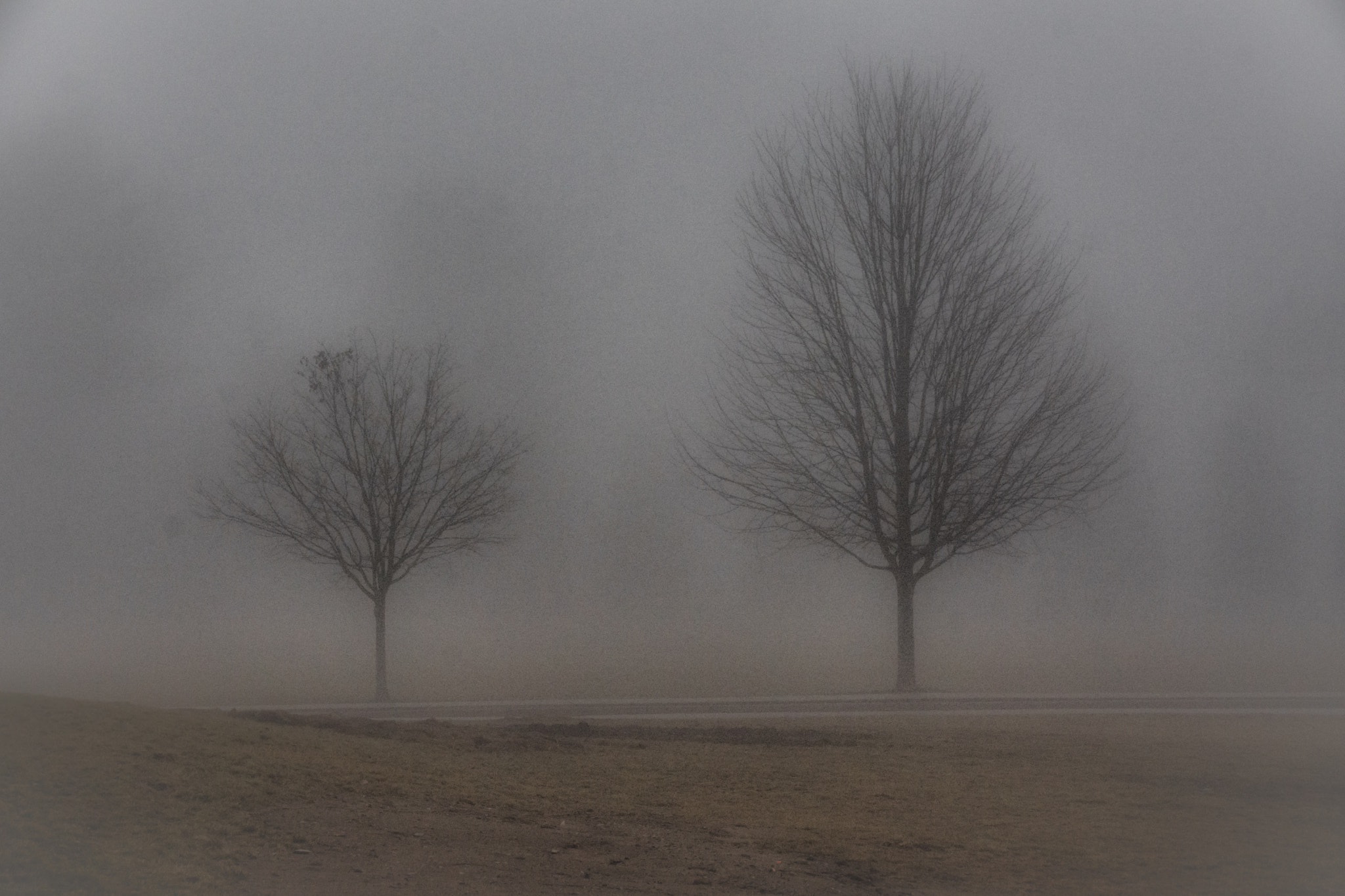 Nikon D7200 sample photo. Shots from the fog photography