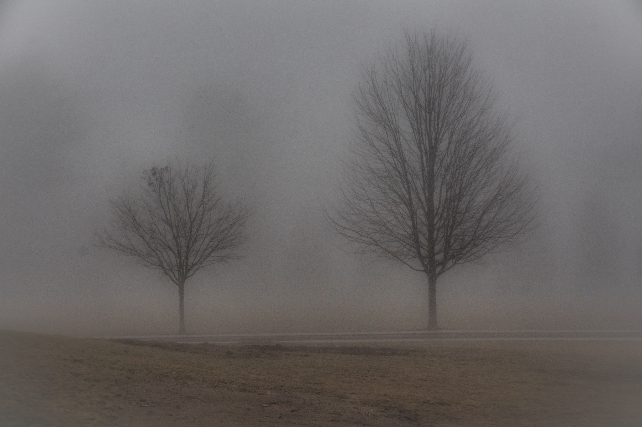 Sigma 18-250mm F3.5-6.3 DC Macro OS HSM sample photo. Shots from the fog photography